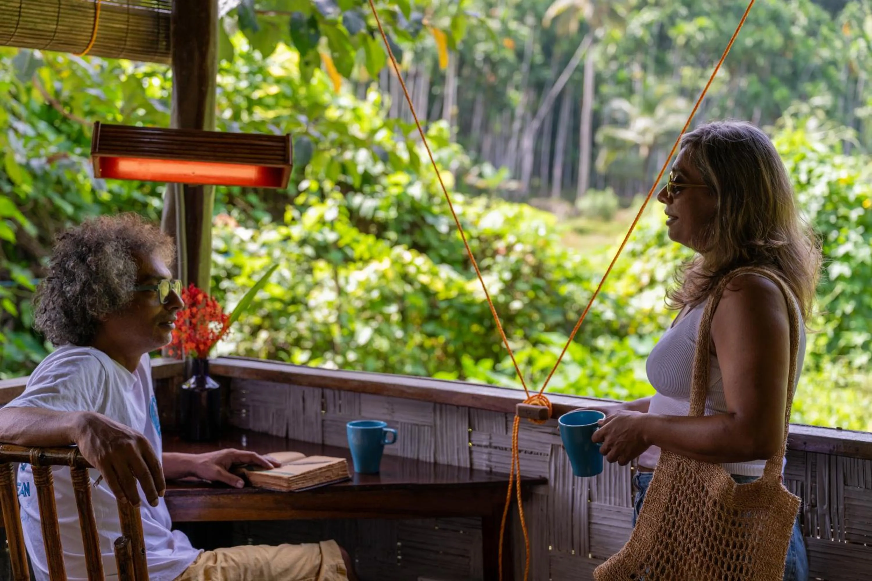 The Forest Elephant - Formerly known as the Flying Elephant