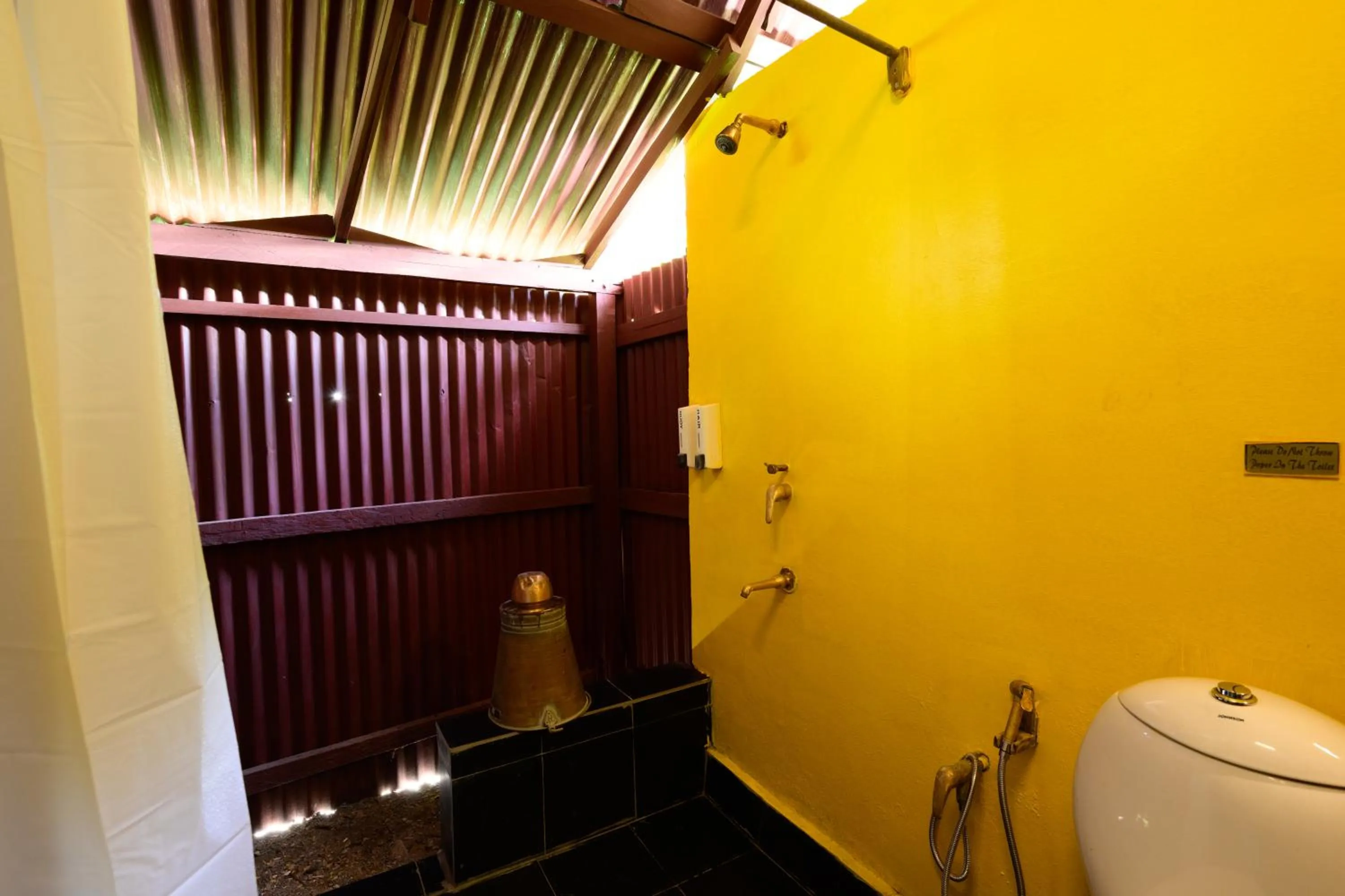 The Forest Elephant - Formerly known as the Flying Elephant