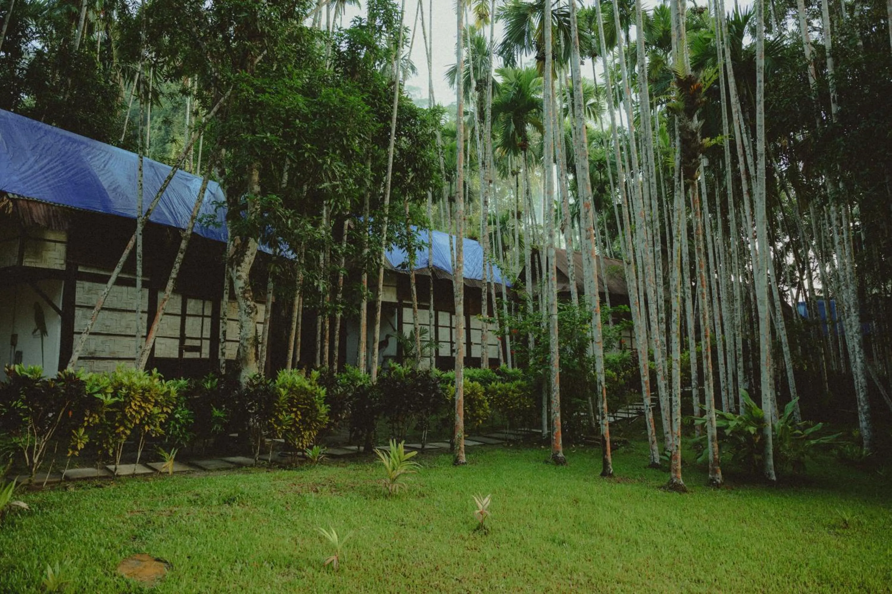 Property building in The Forest Elephant - Formerly known as the Flying Elephant