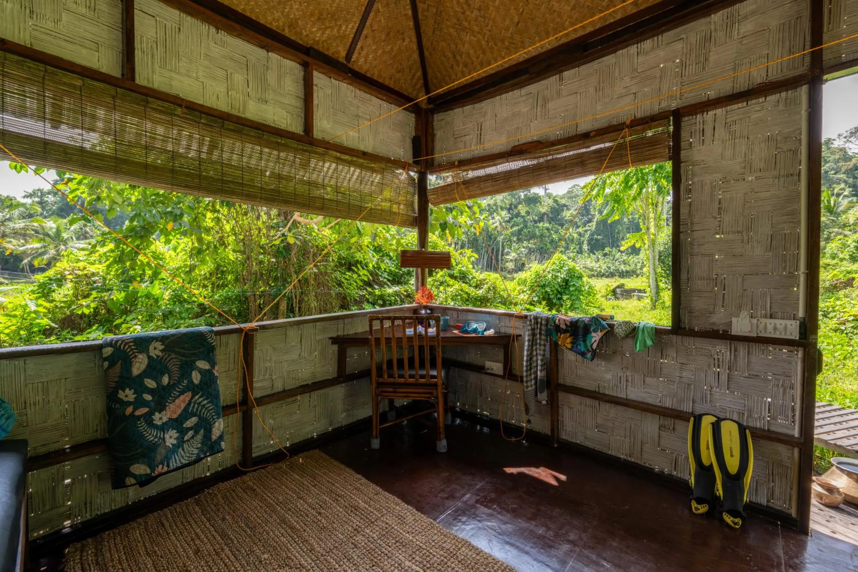 The Forest Elephant - Formerly known as the Flying Elephant