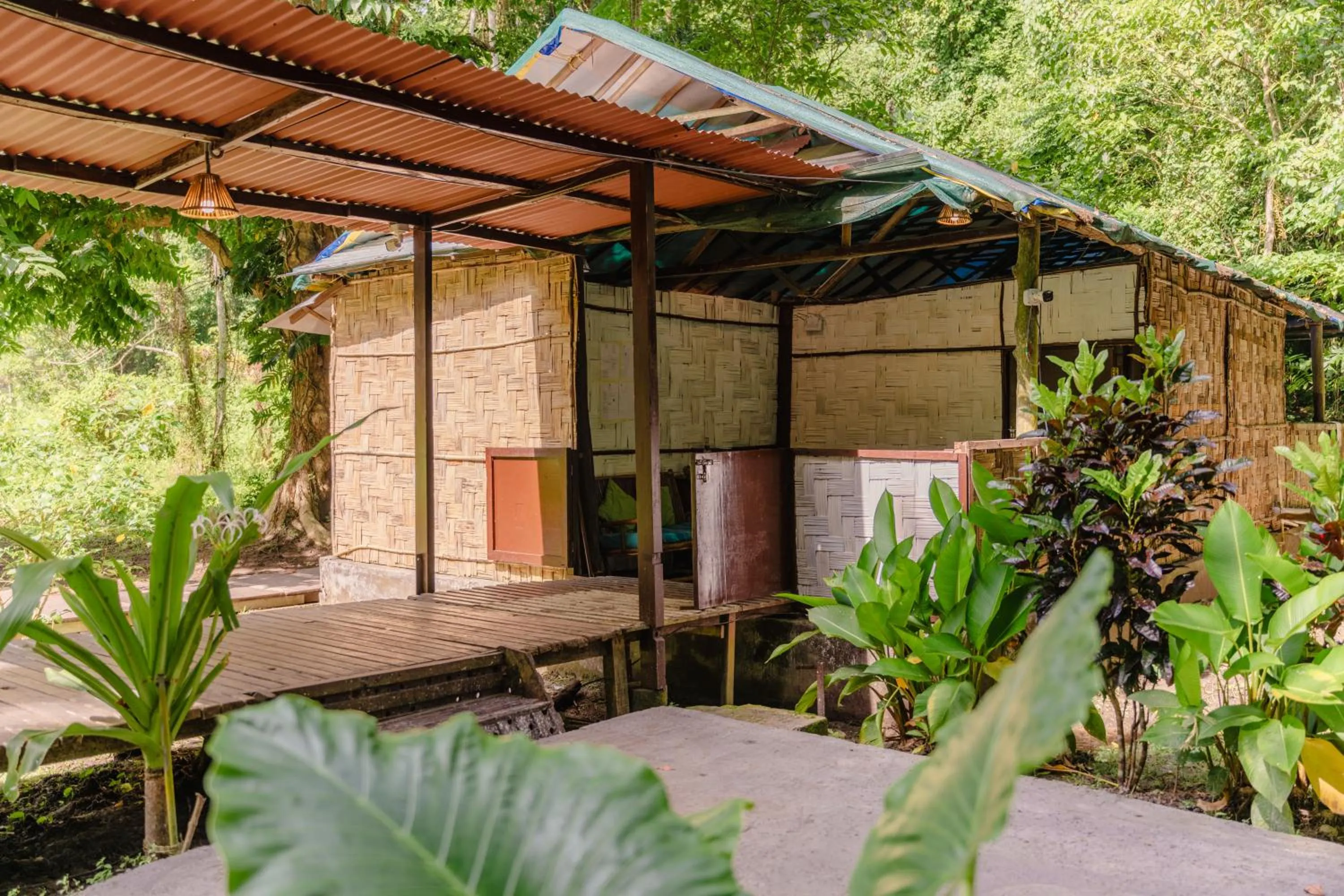 Lobby or reception in The Forest Elephant - Formerly known as the Flying Elephant