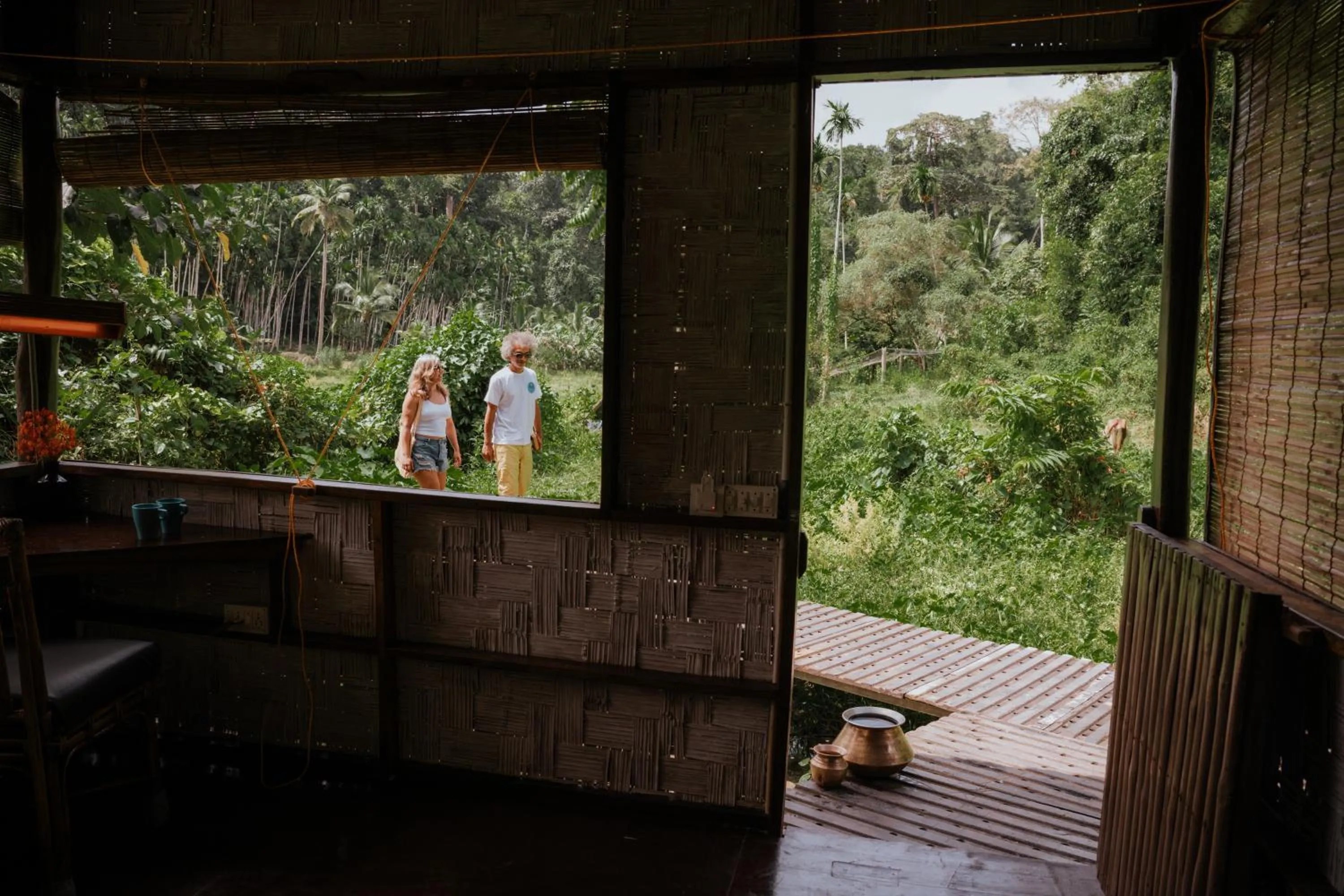 The Forest Elephant - Formerly known as the Flying Elephant