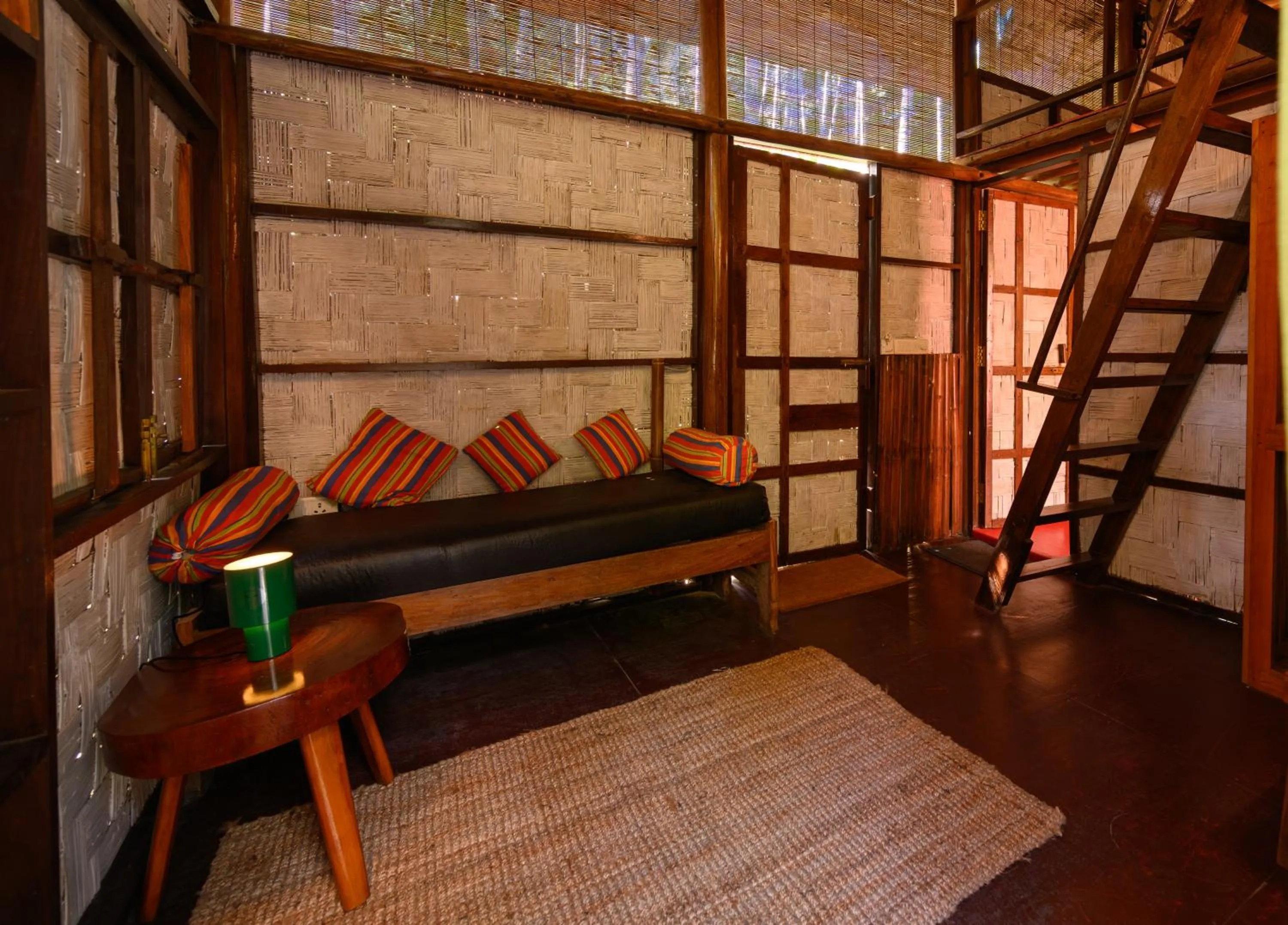 The Forest Elephant - Formerly known as the Flying Elephant