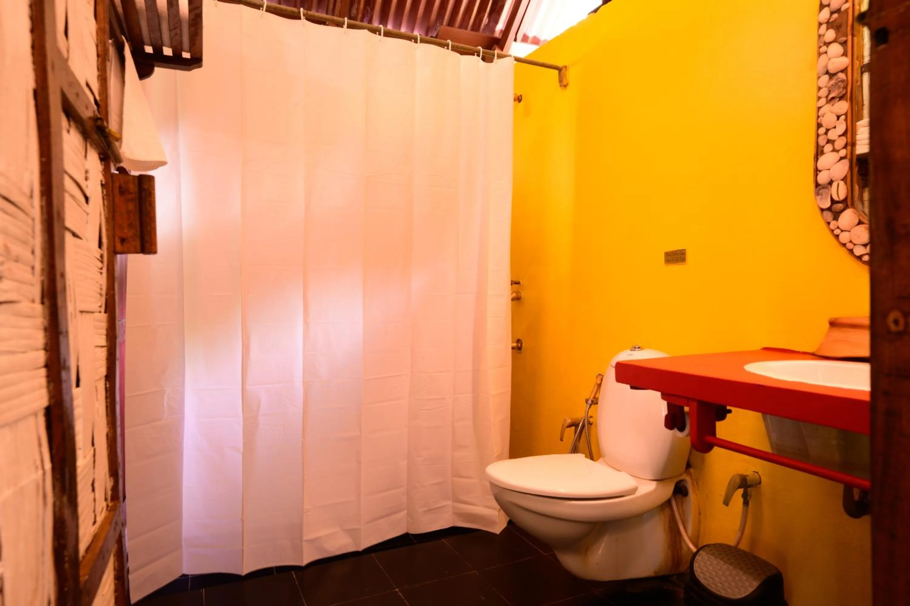 The Forest Elephant - Formerly known as the Flying Elephant