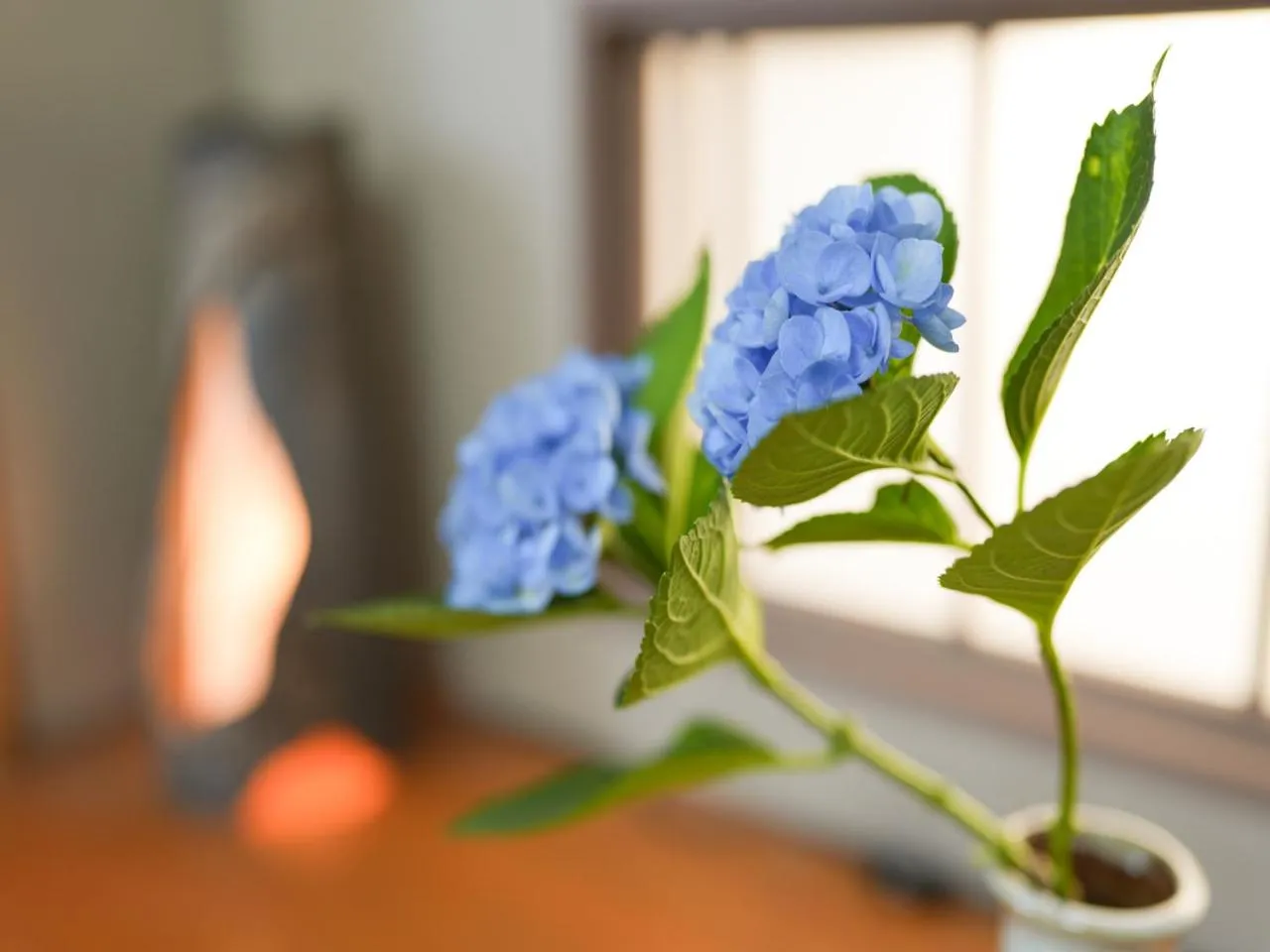 Shirahama no Yado Daigo