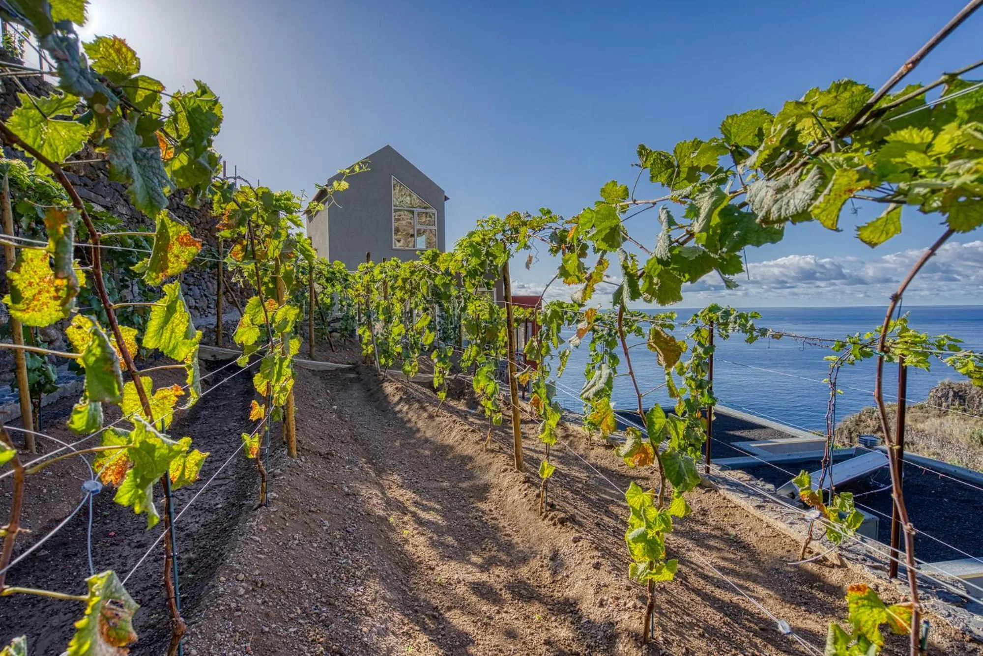 Socalco Nature Calheta