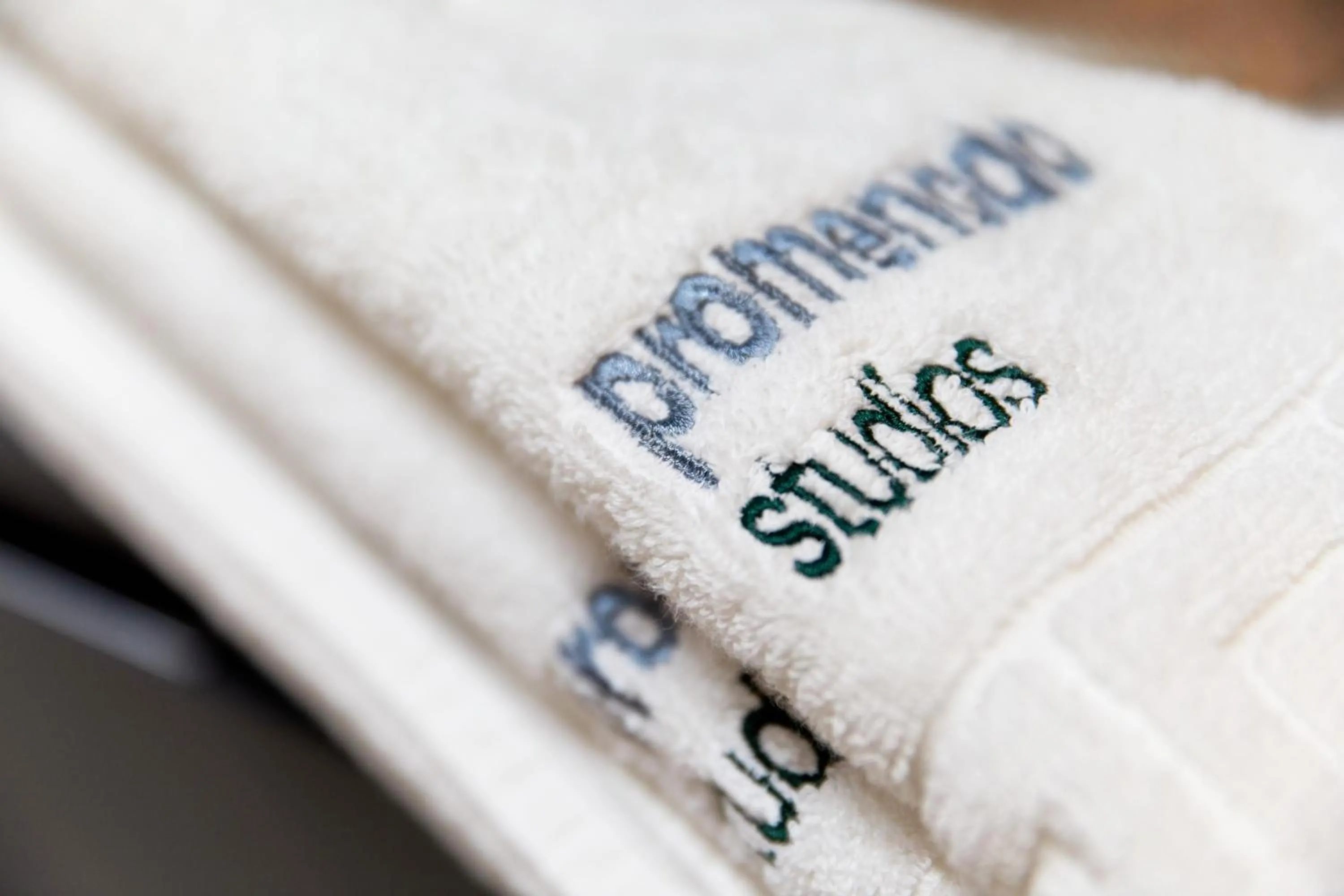 Property logo or sign in Promenada Studios