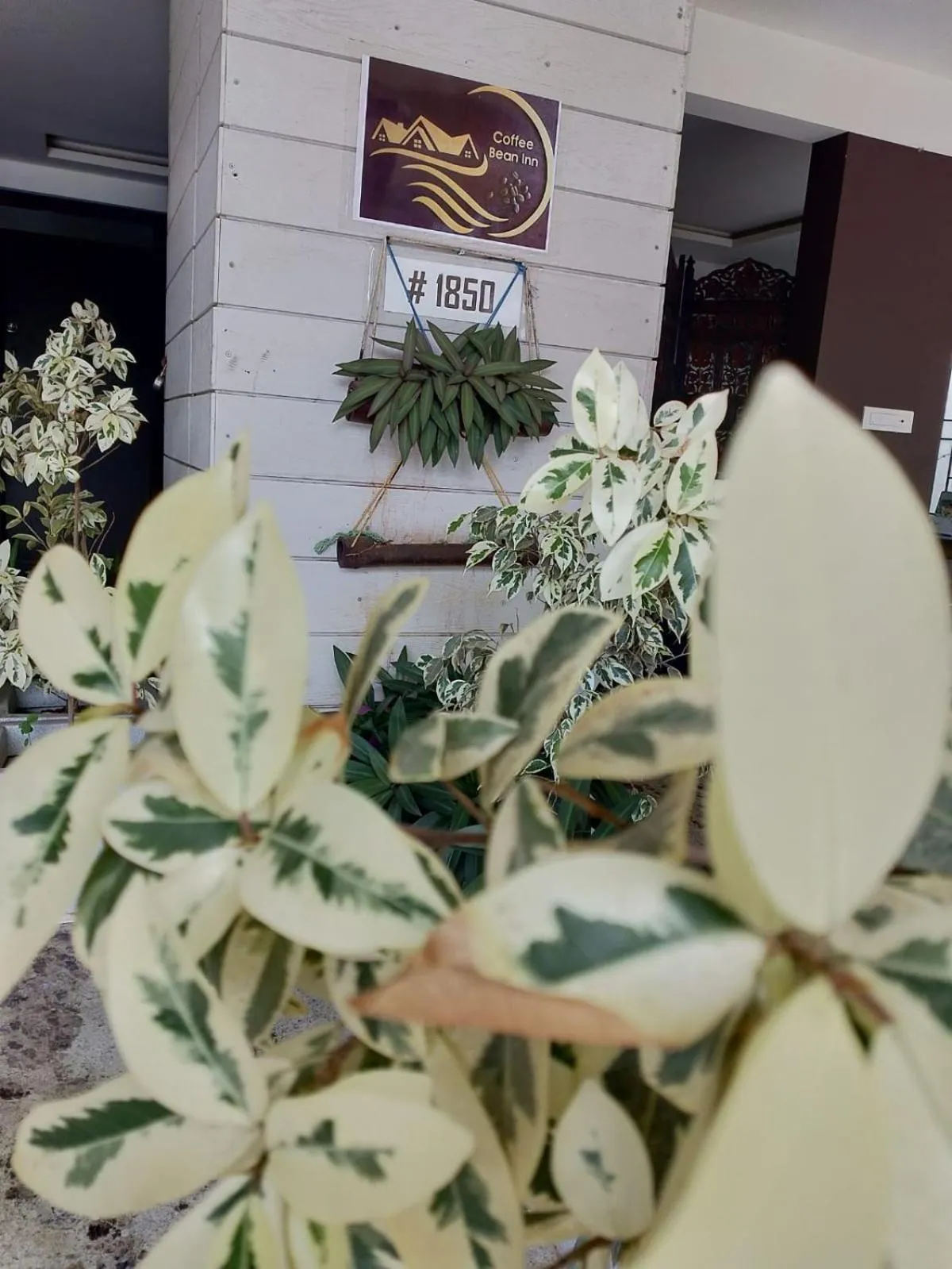 Facade/entrance in Hotel Coffee Bean