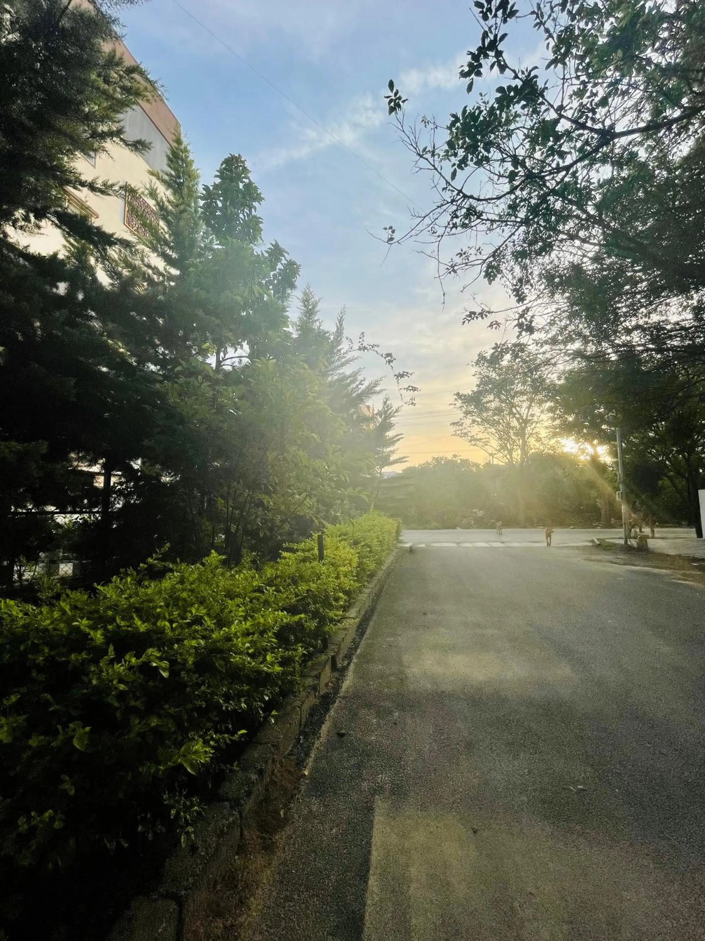 Quiet street view in Hotel Coffee Bean