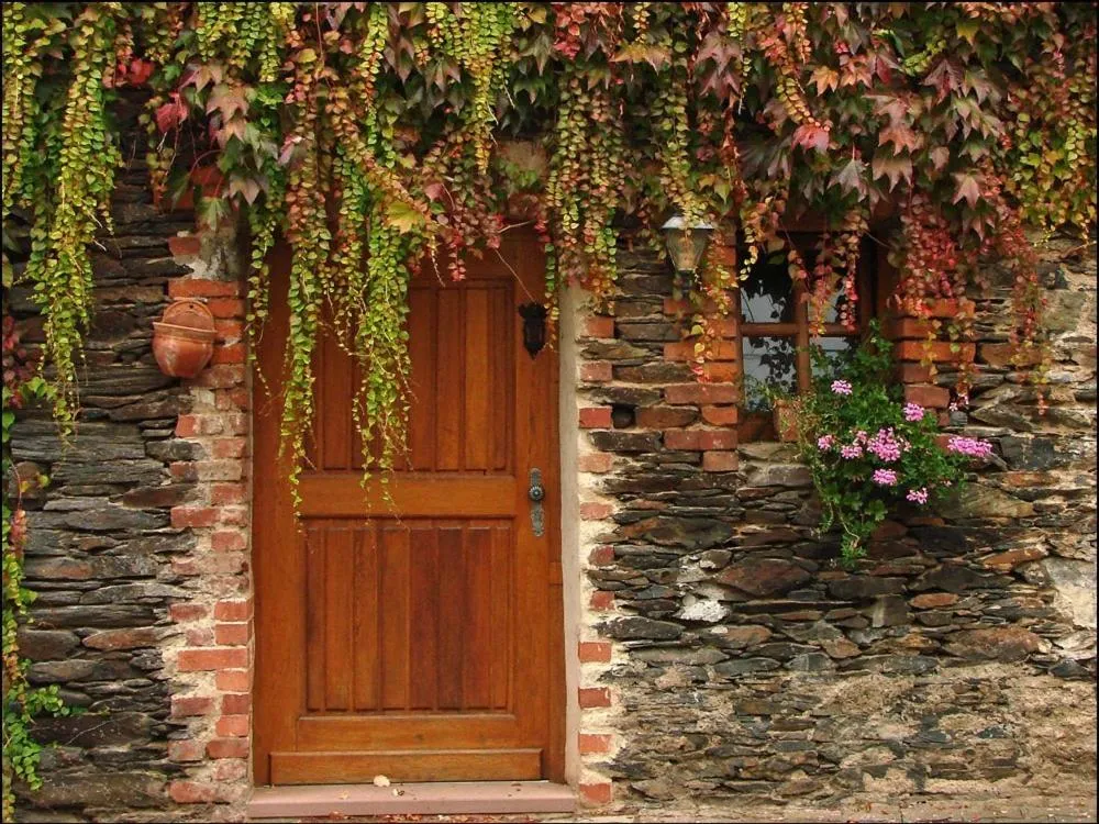 Other in Hotel Weingut Dehren