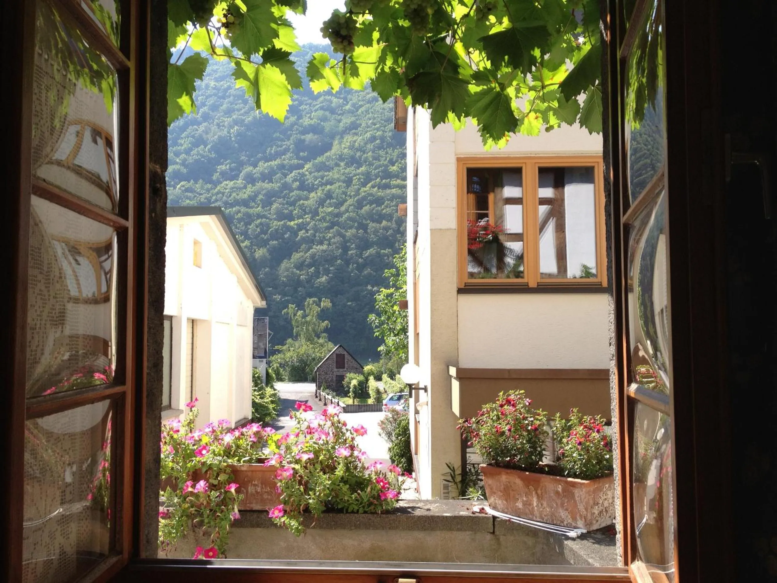 View (from property/room) in Hotel Weingut Dehren