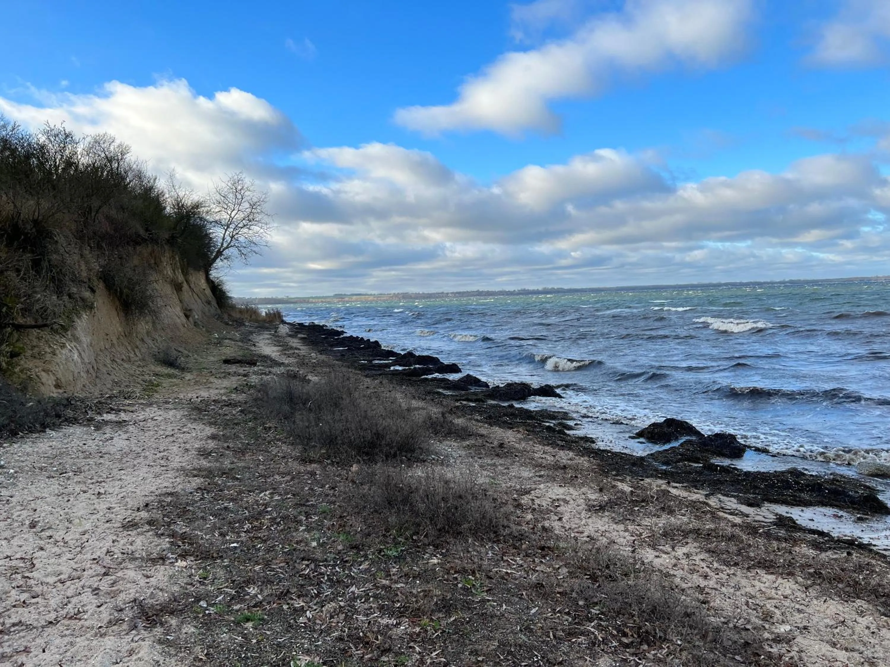 Off site in Reet und Meer Beckerwitz