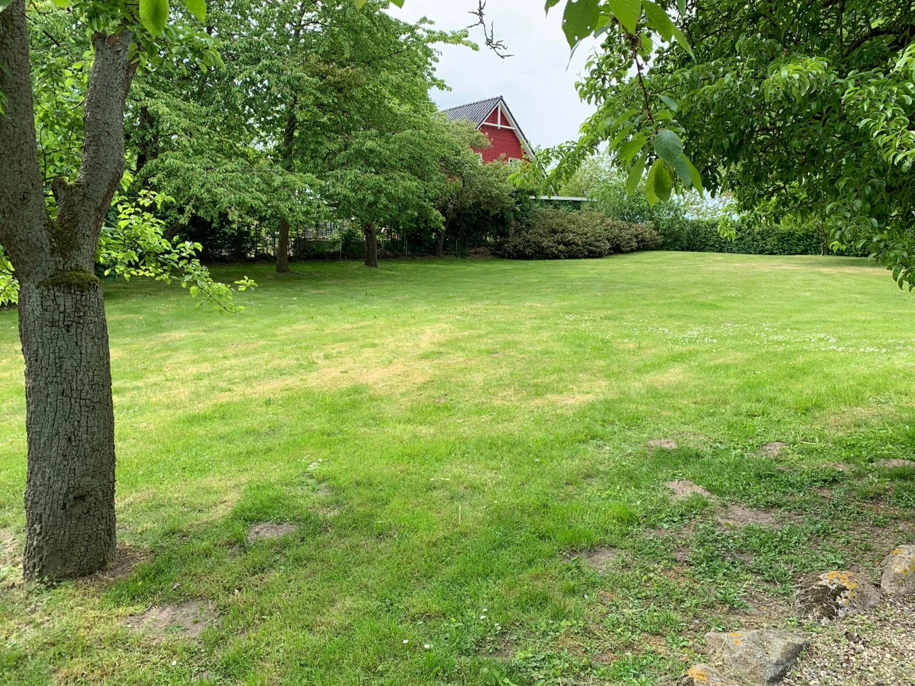 Garden in Reet und Meer Beckerwitz