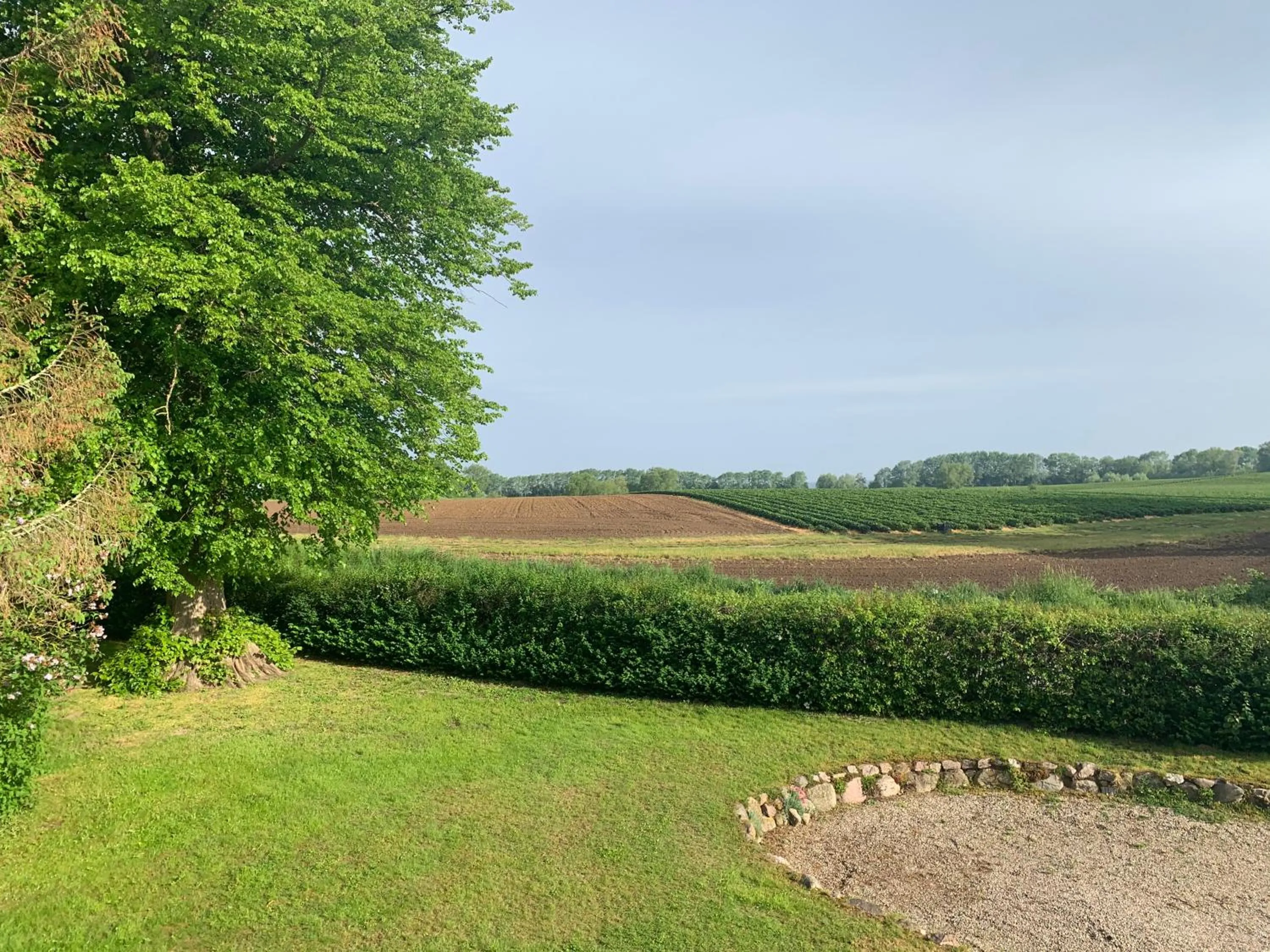 Natural landscape in Reet und Meer Beckerwitz