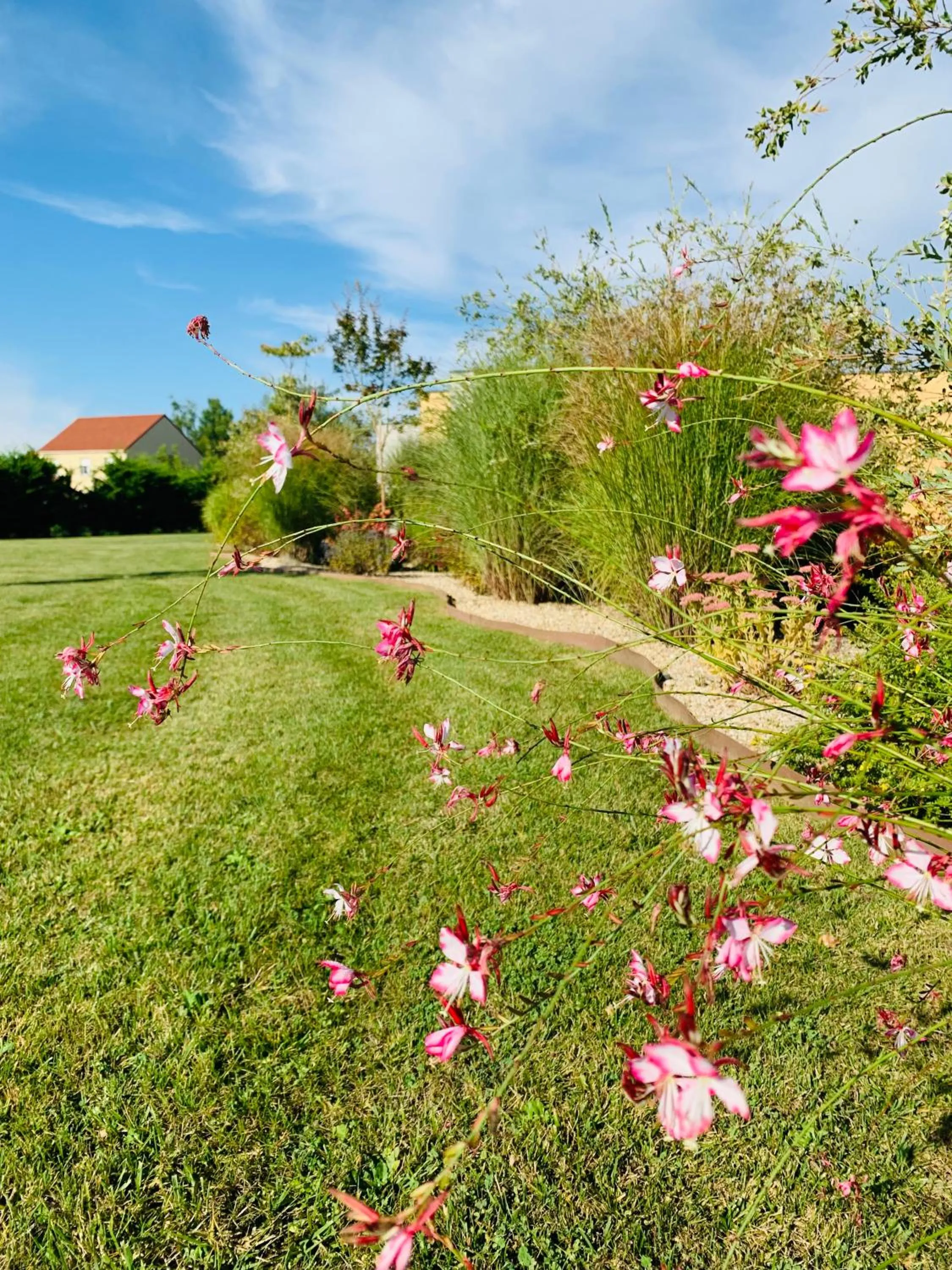 Hôtel & Restaurant La maison des blés