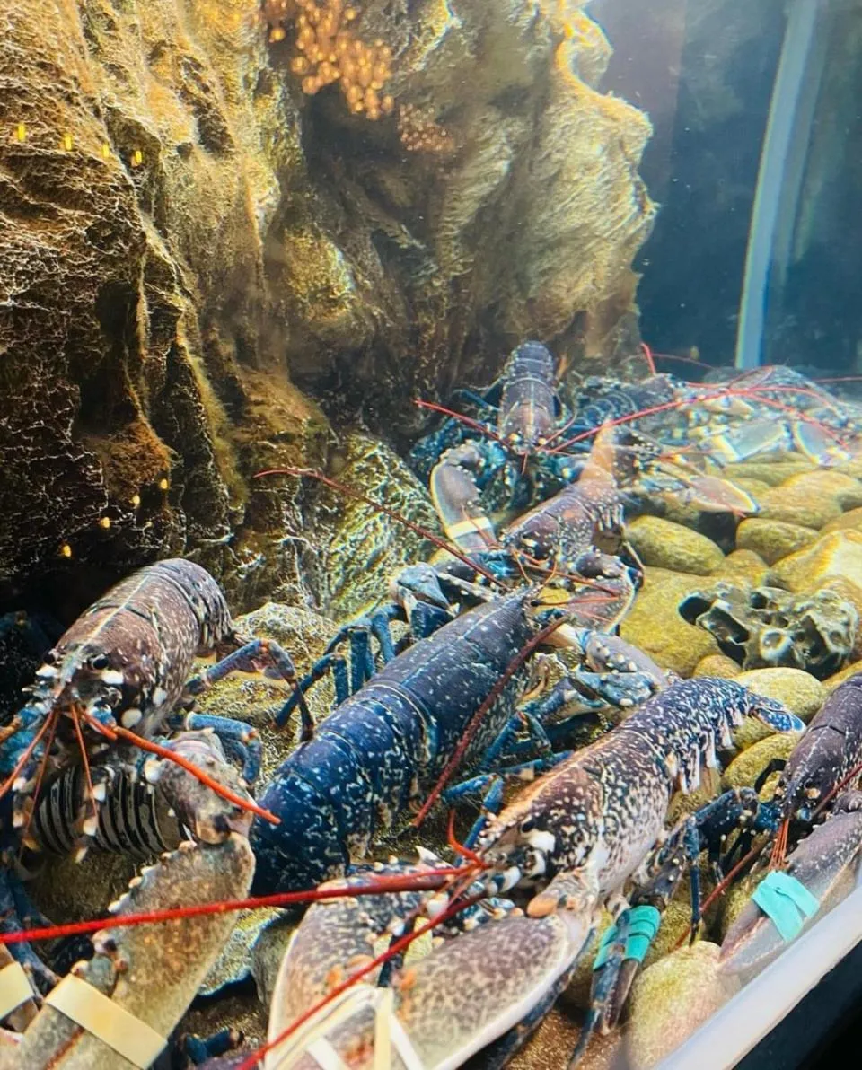 Hôtel & Restaurant La maison des blés