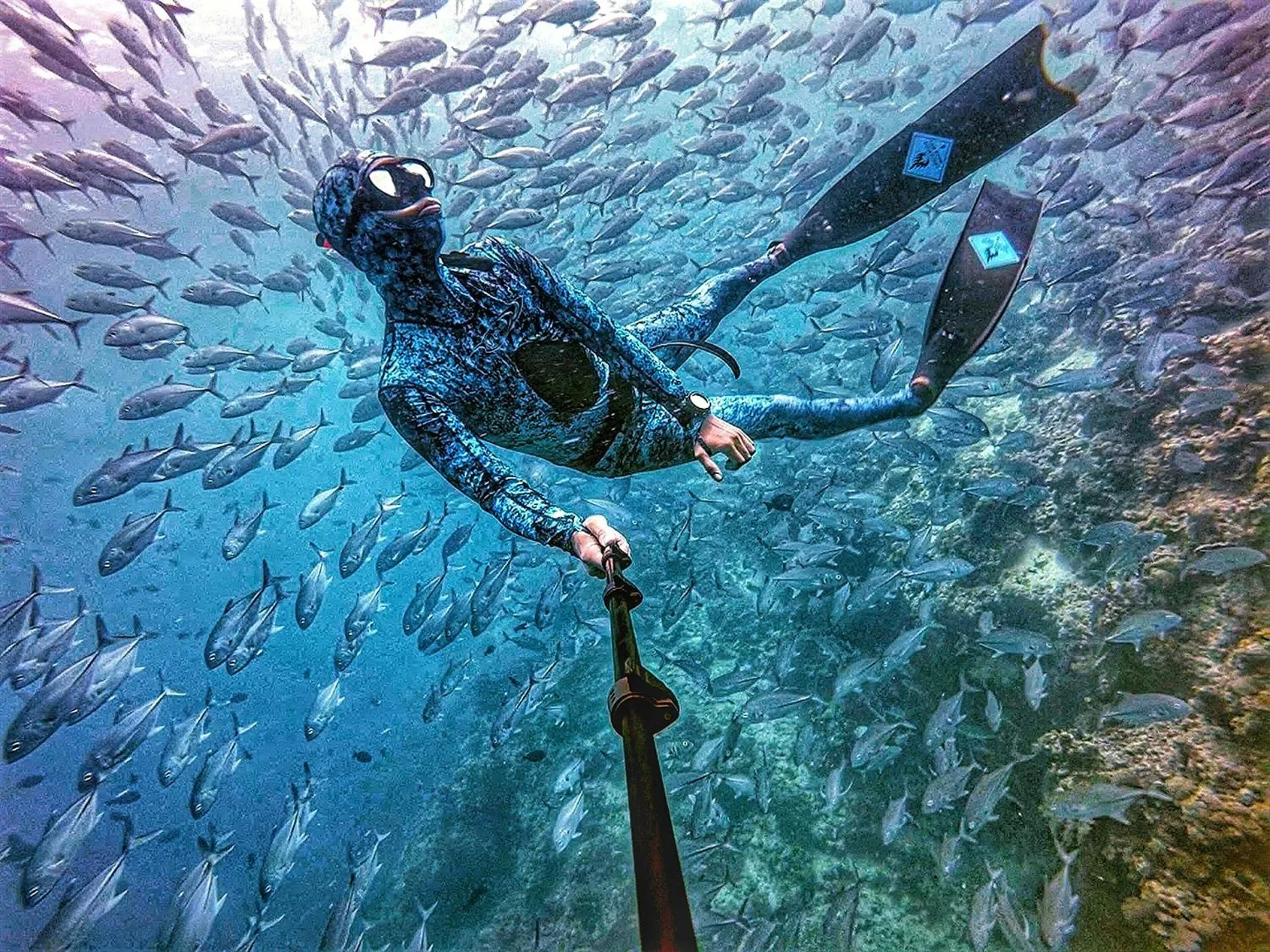 Snorkeling in Holiday Inn Express Kota Kinabalu City Centre by IHG