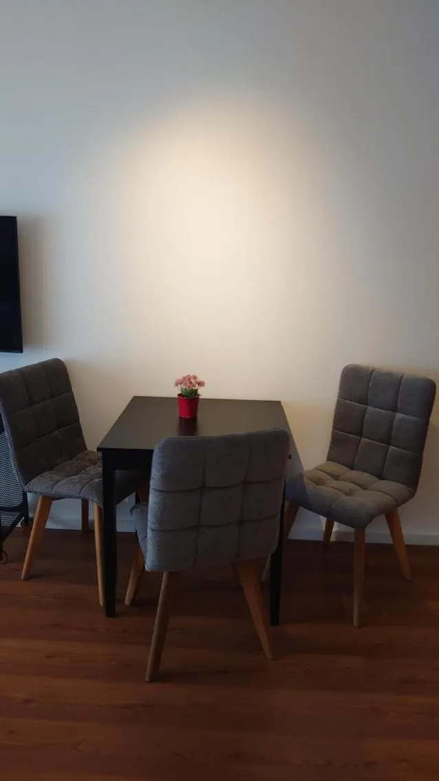 Maxim Apartments Mainz