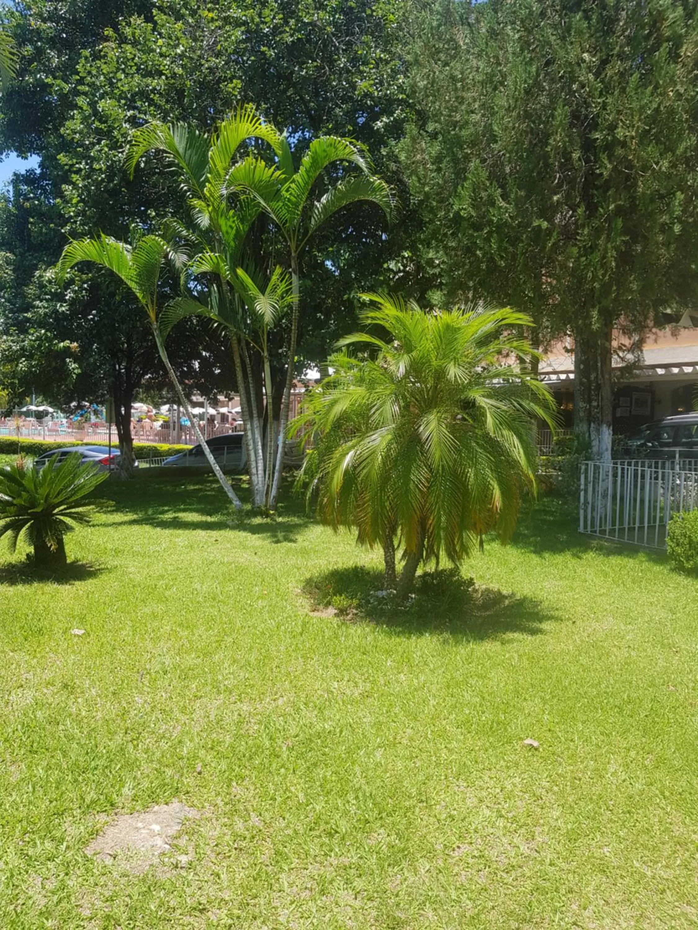 Flat Hotel Cavalinho Branco