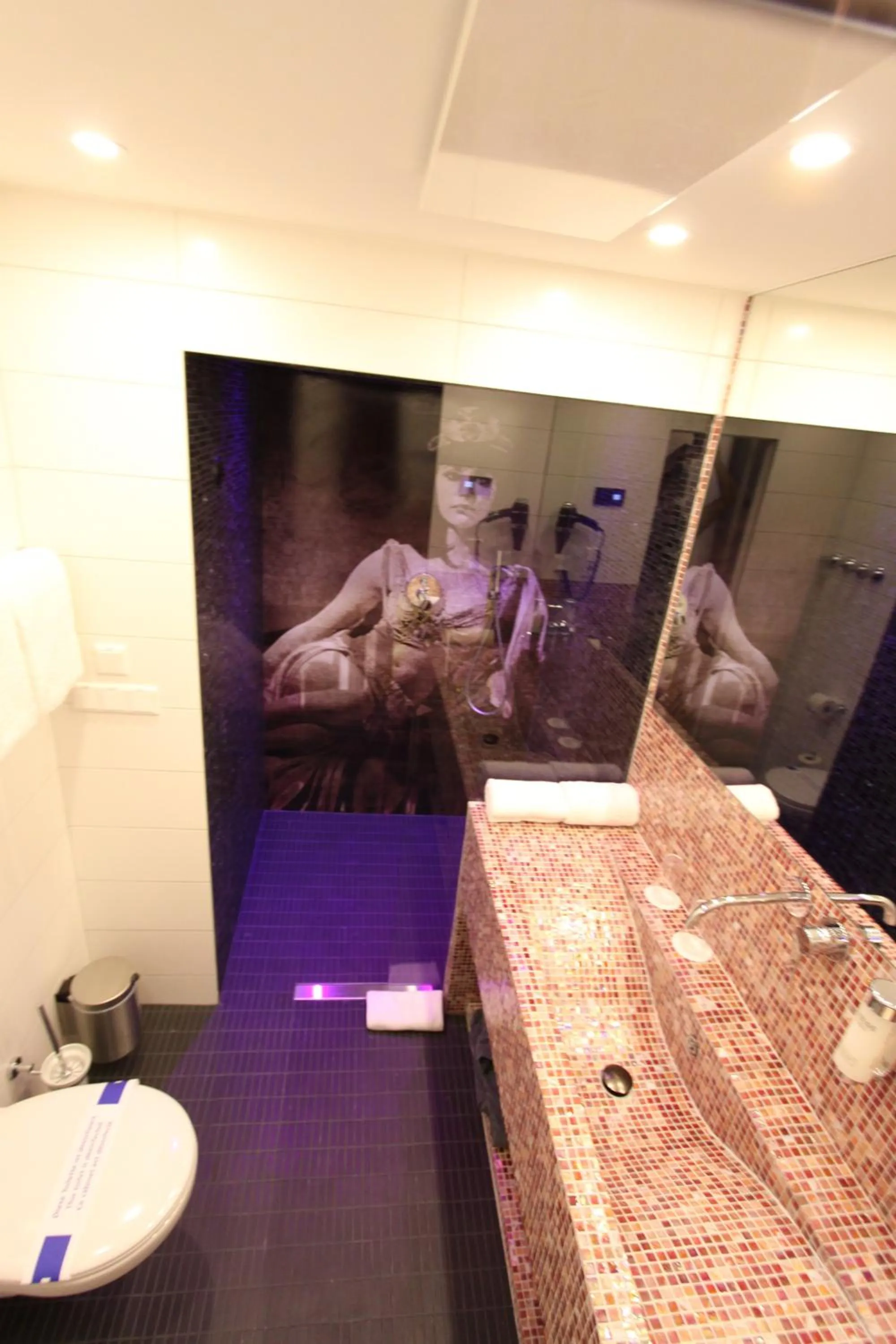 Toilet in PLAZA INN stays design Dortmund