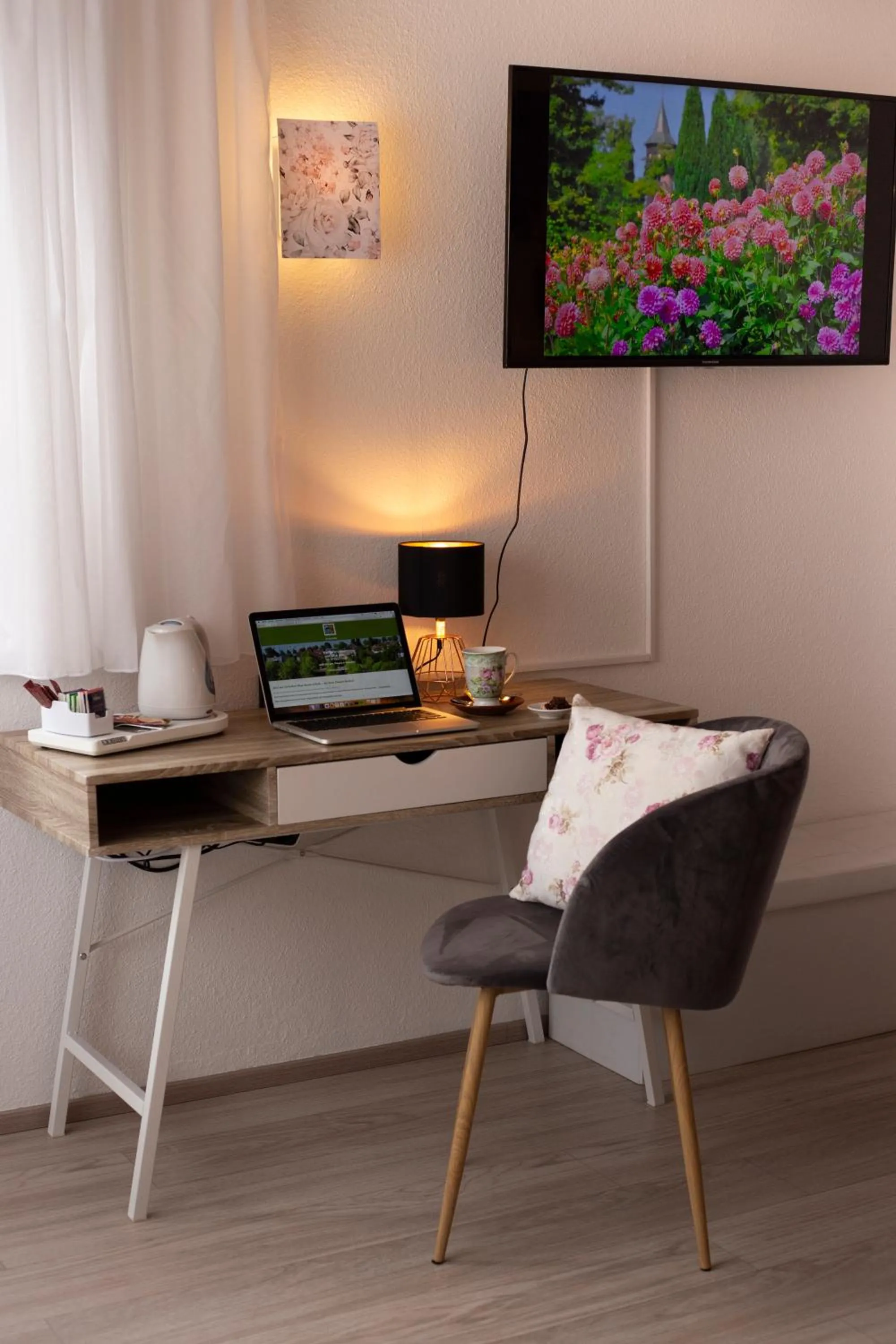 TV and multimedia in Haus Rose