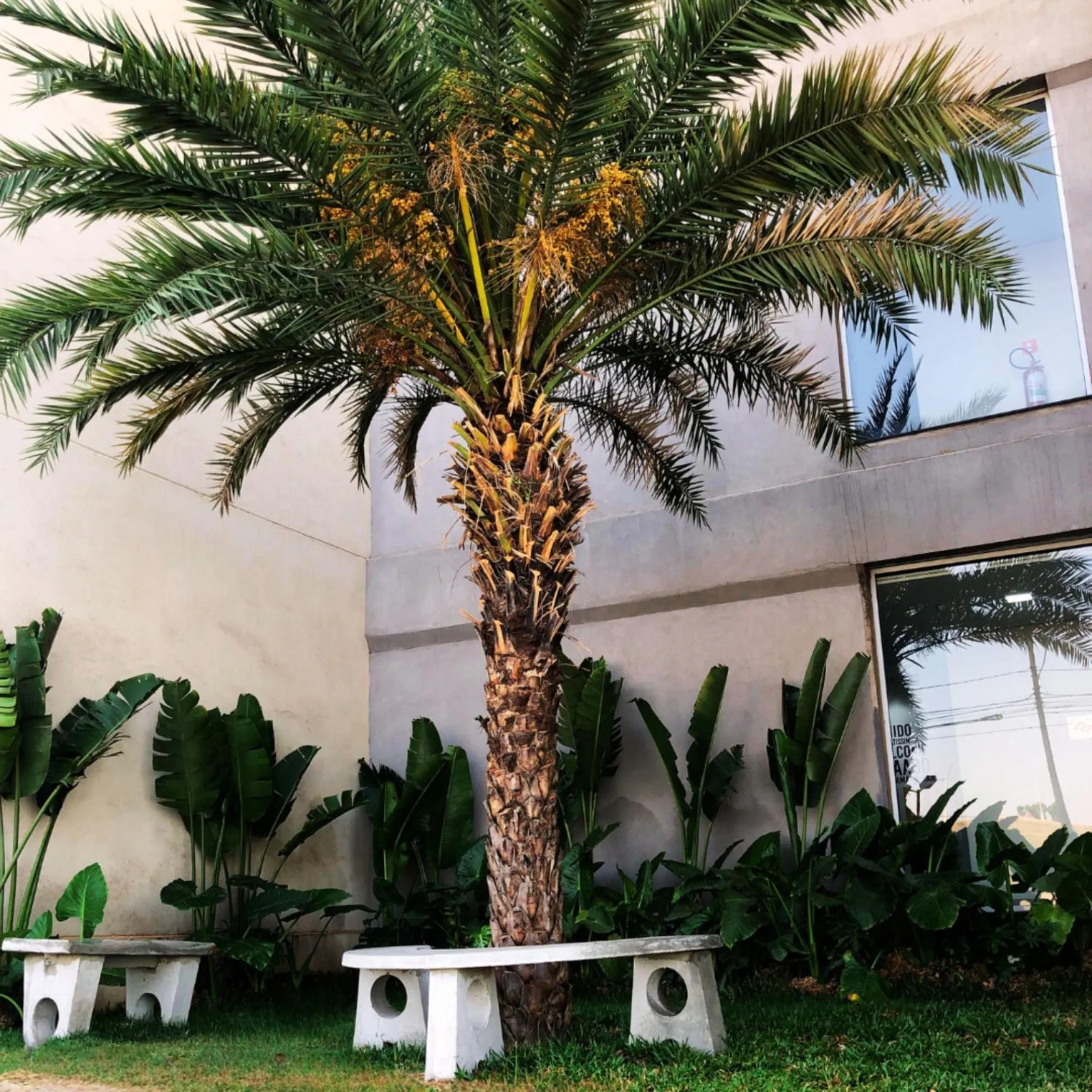 Facade/entrance in Sleep Inn Paulínia