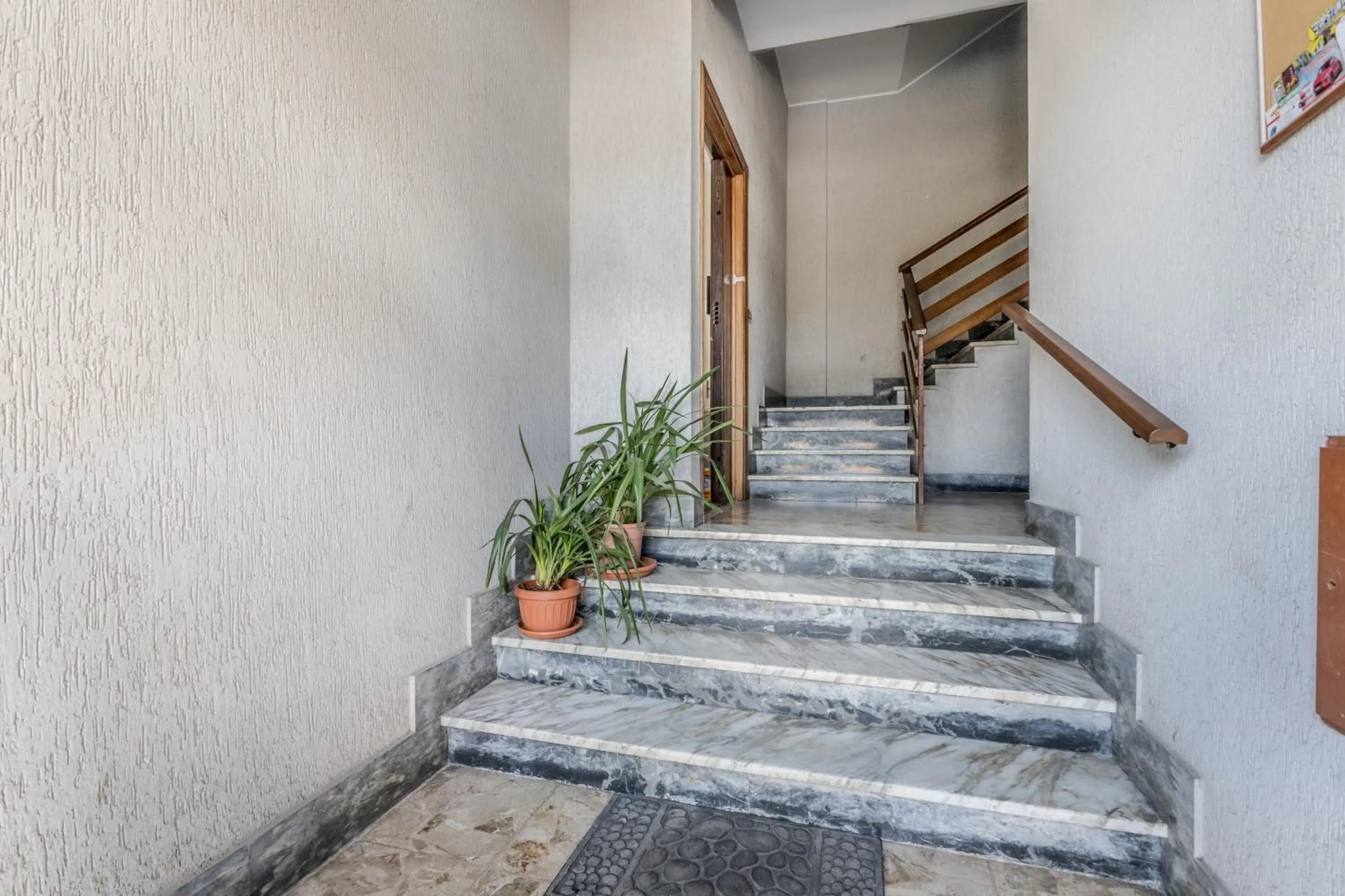 THAT'S AMORE FIUMICINO Airport