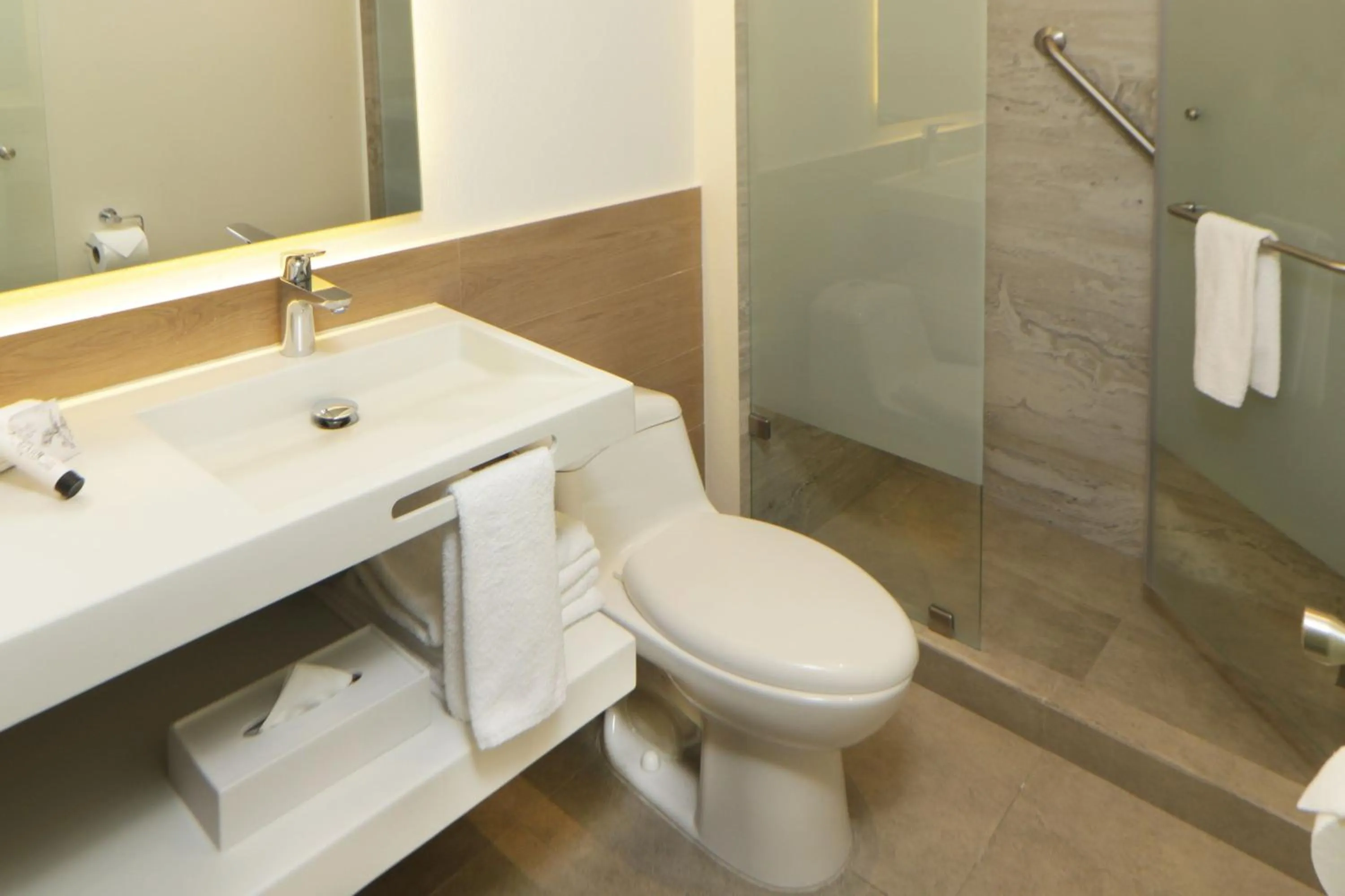 Bathroom in City Express Plus by Marriott Guadalajara Providencia
