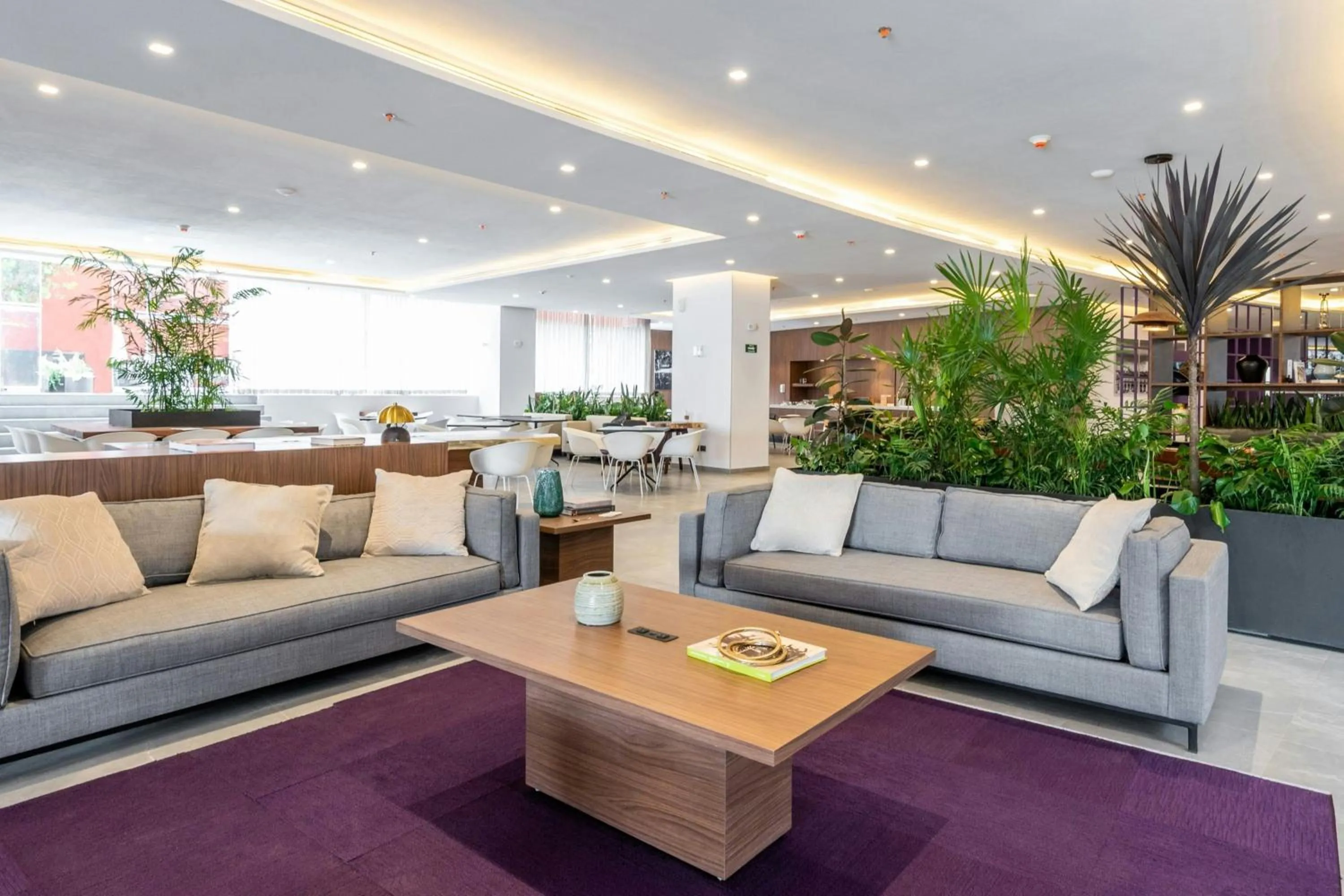 Lobby or reception in City Express Plus by Marriott San Luis Potosi