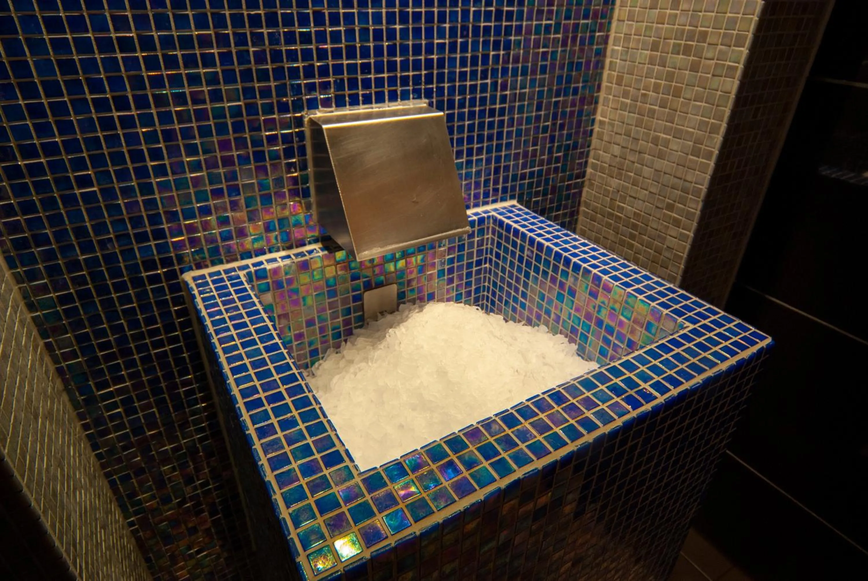 Spa and wellness centre/facilities in Ringhotel Bundschu