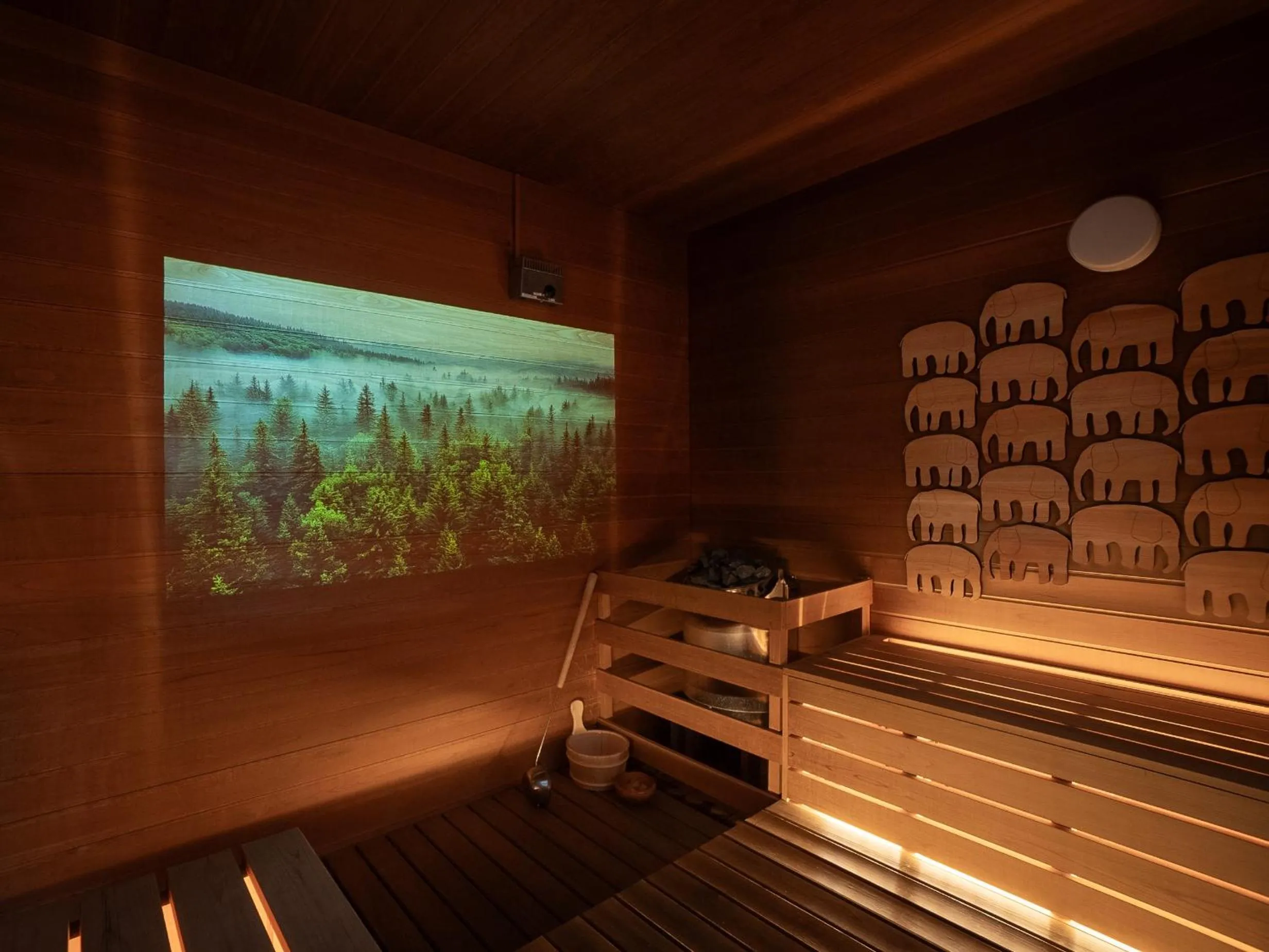 BIO-RESORT HOTEL & SPA O Park OGOSE