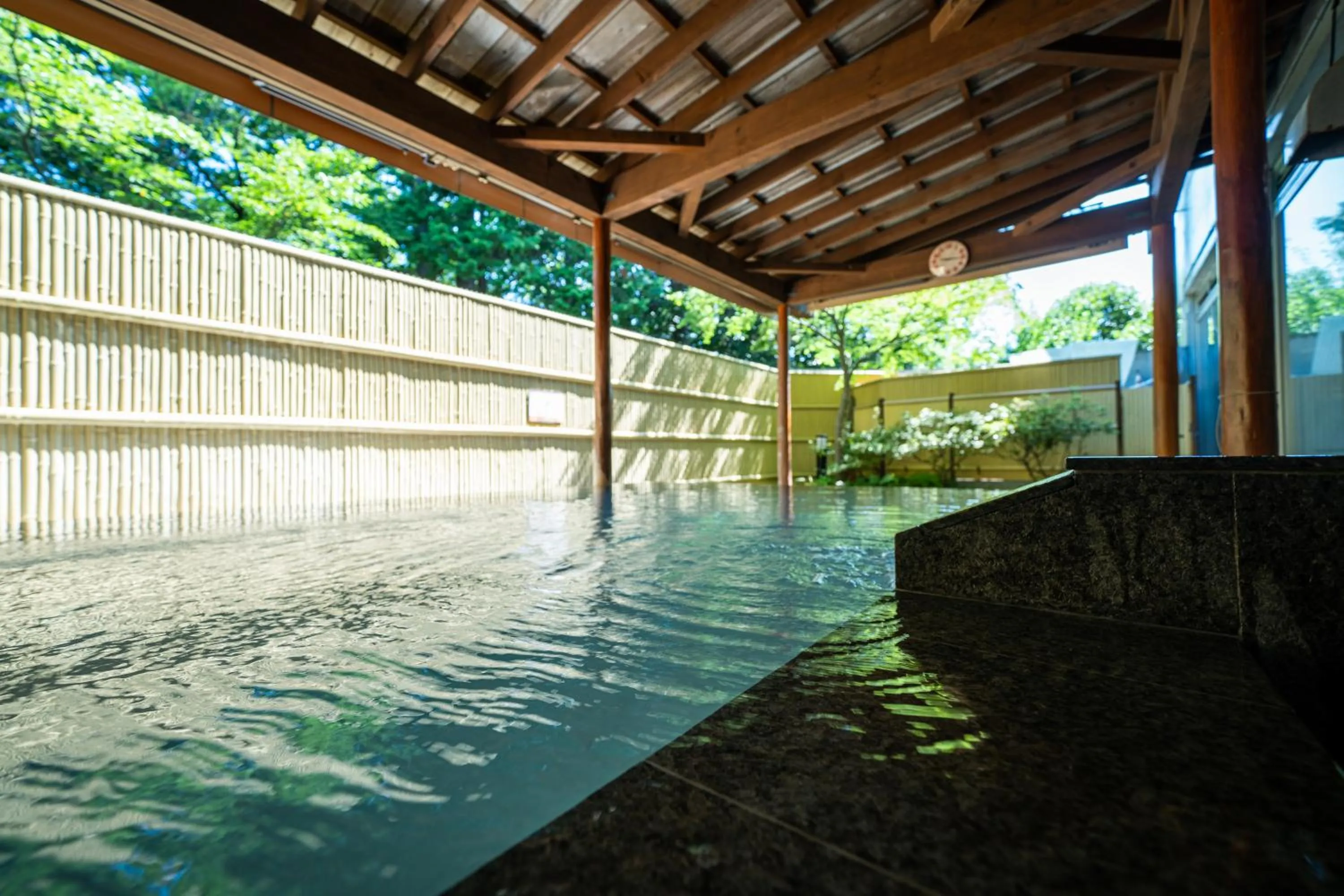 Hot Spring Bath in BIO-RESORT HOTEL & SPA O Park OGOSE