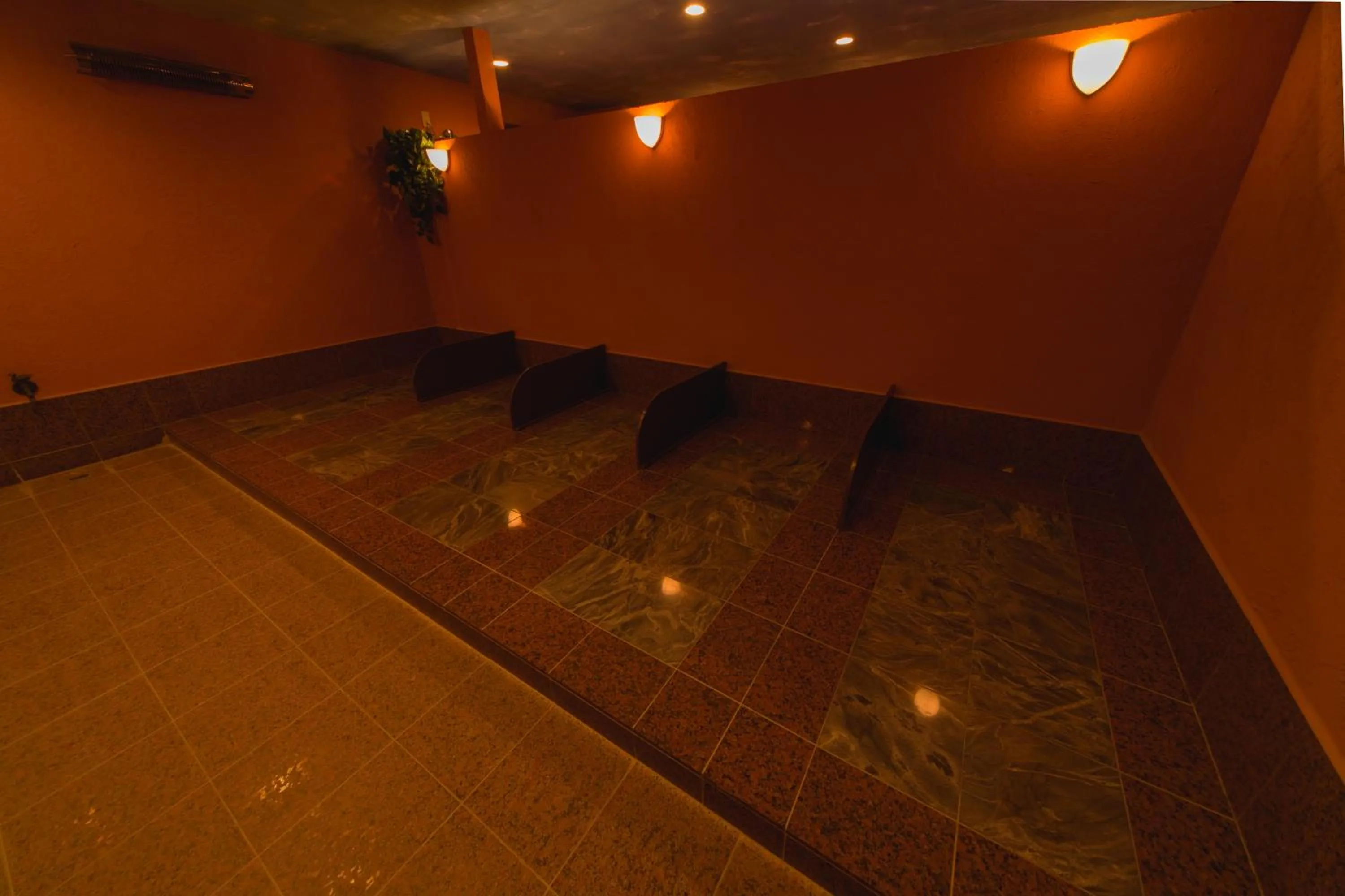 Sauna in BIO-RESORT HOTEL & SPA O Park OGOSE