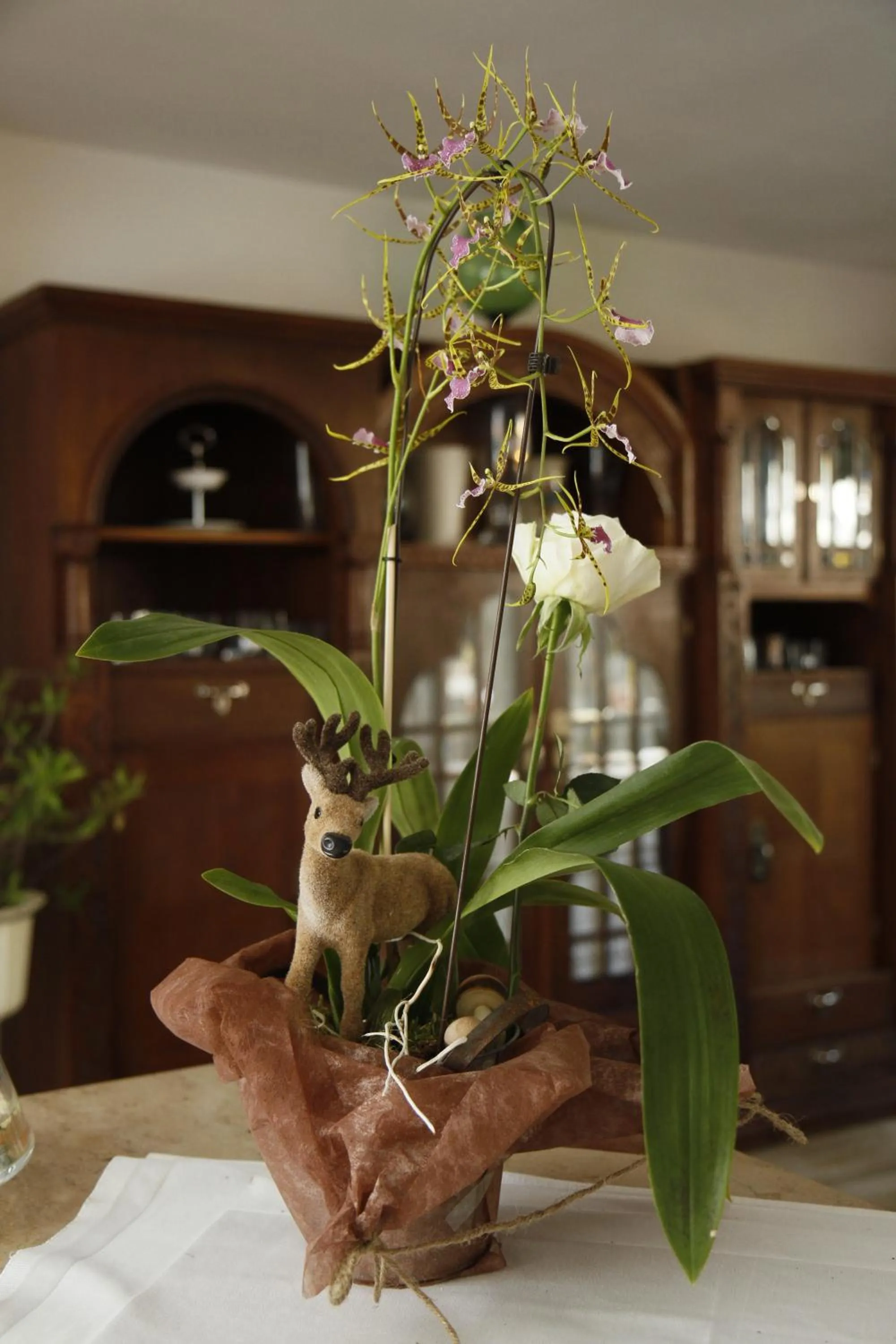 Other in Hotel Neumayr