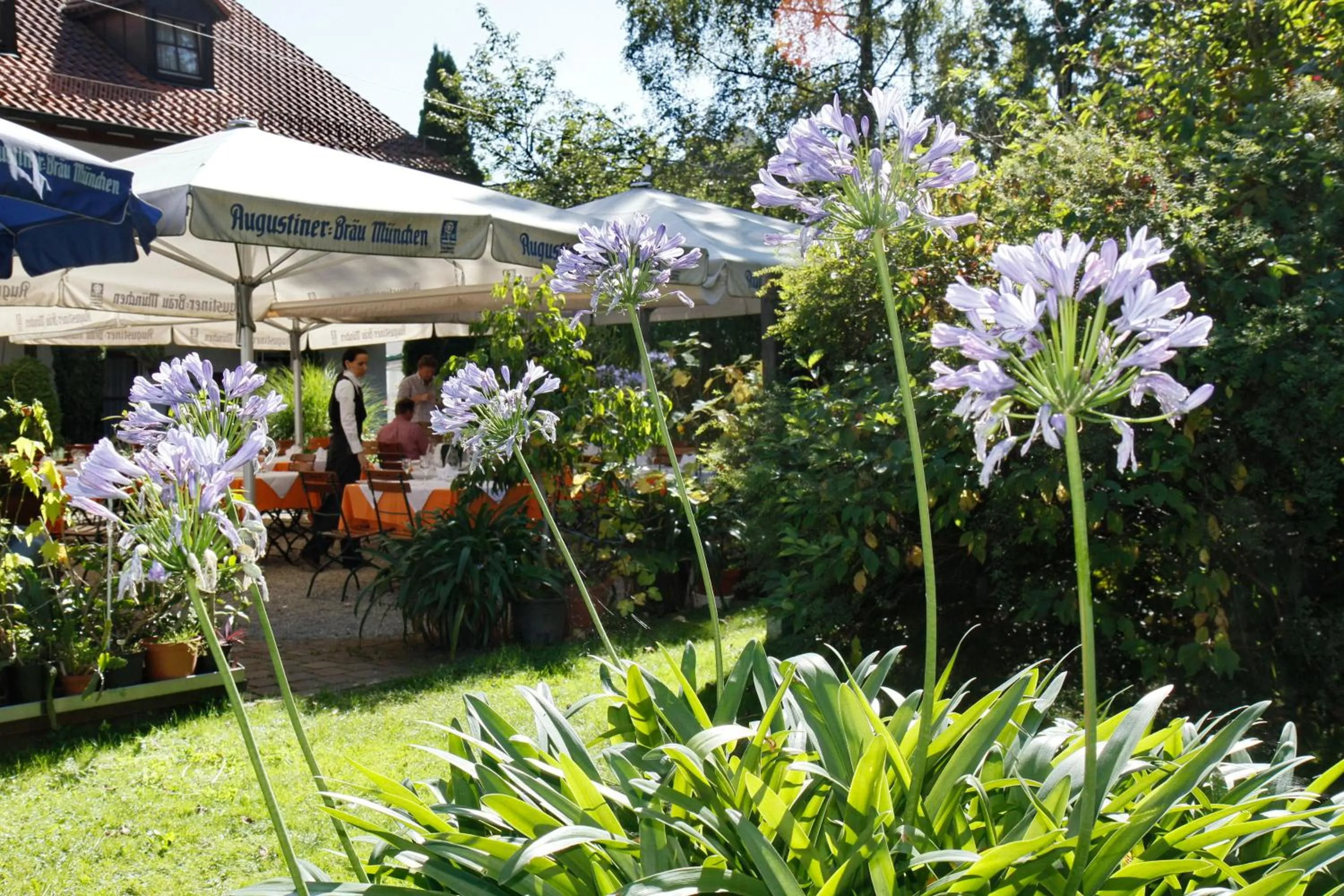 Garden in Hotel Neumayr
