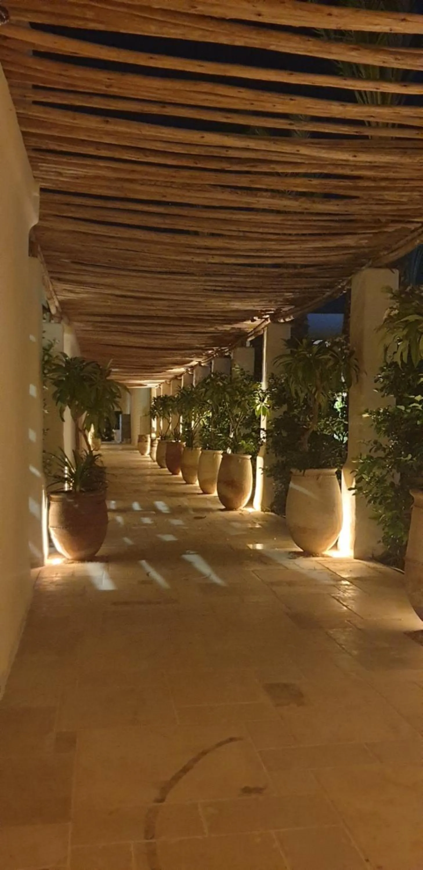 Patio in Kedma by Isrotel Collection