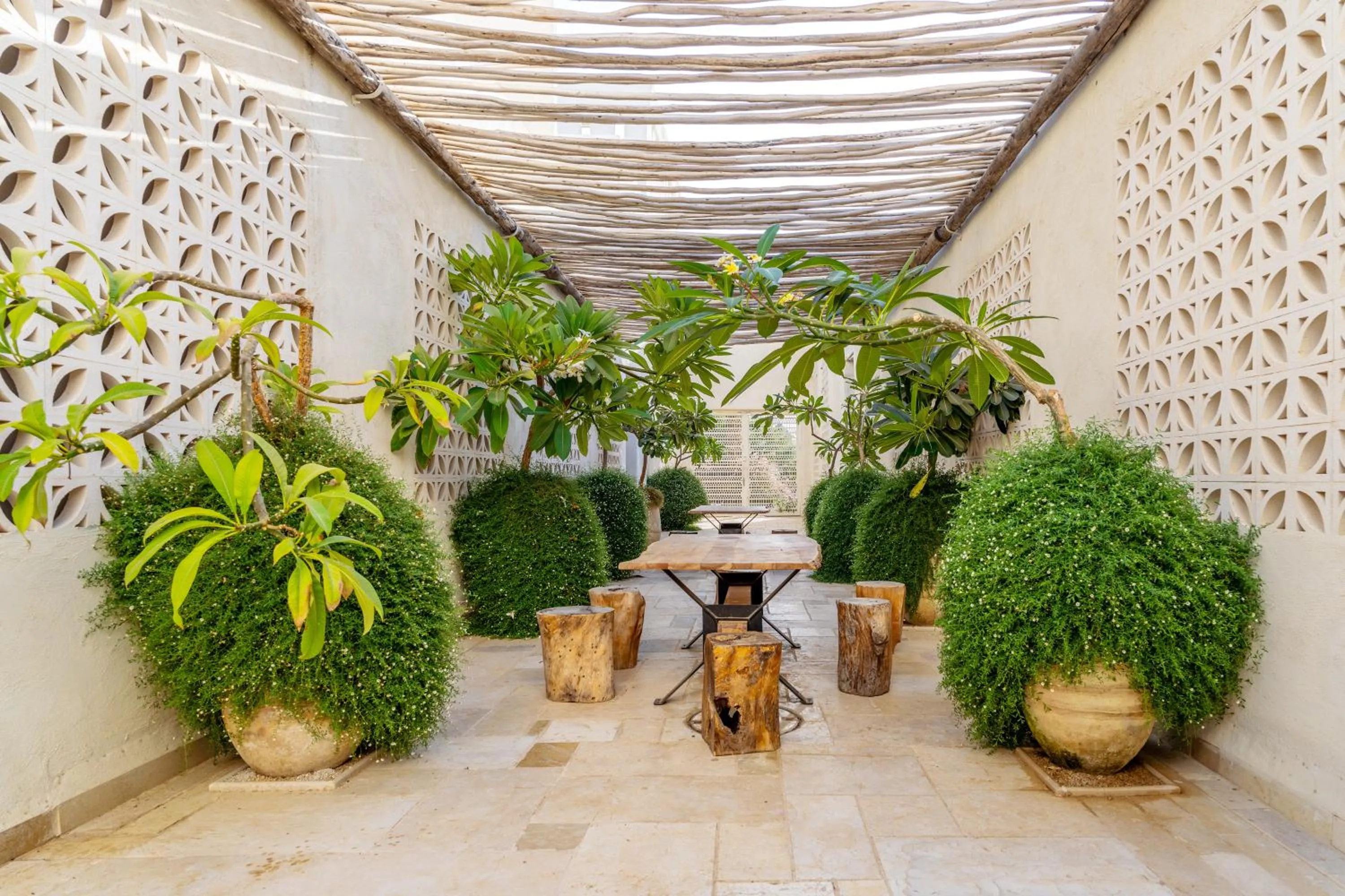 Garden in Kedma by Isrotel Collection