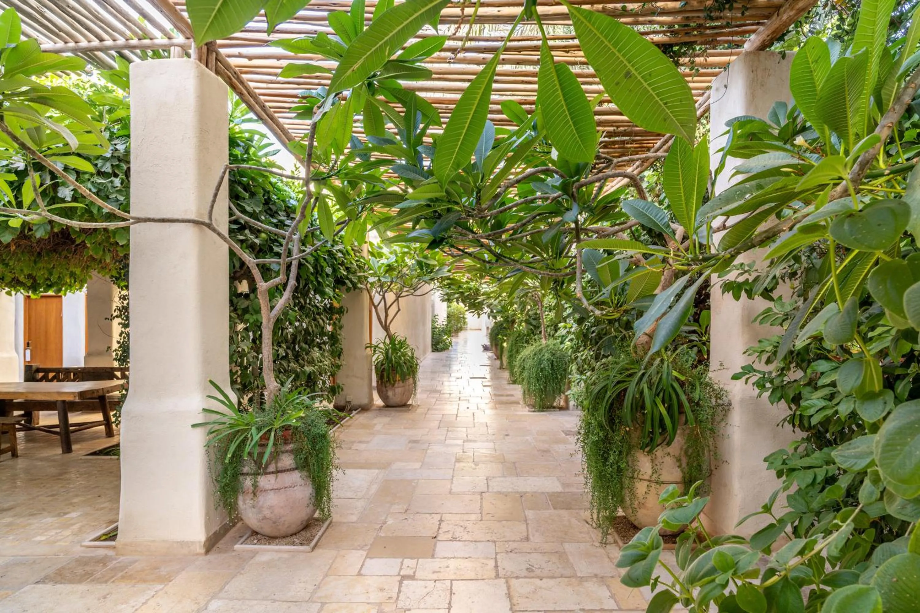 Garden in Kedma by Isrotel Collection