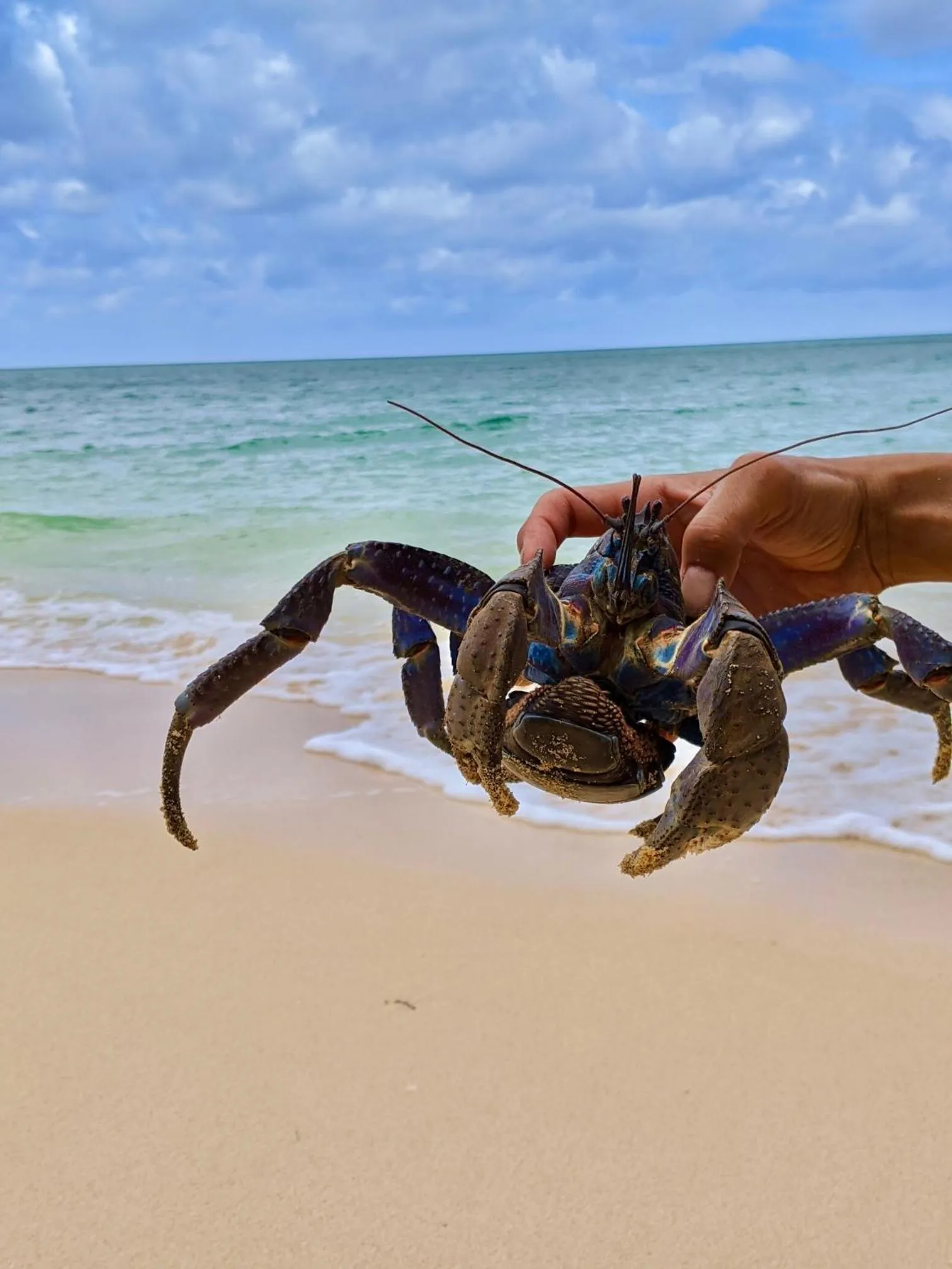 YOISAMA Sunset Beach House