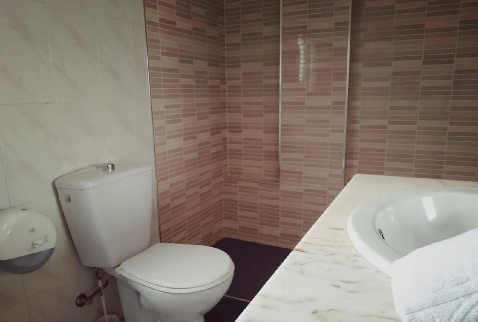 Toilet in Hotel El Cruce Chauchina