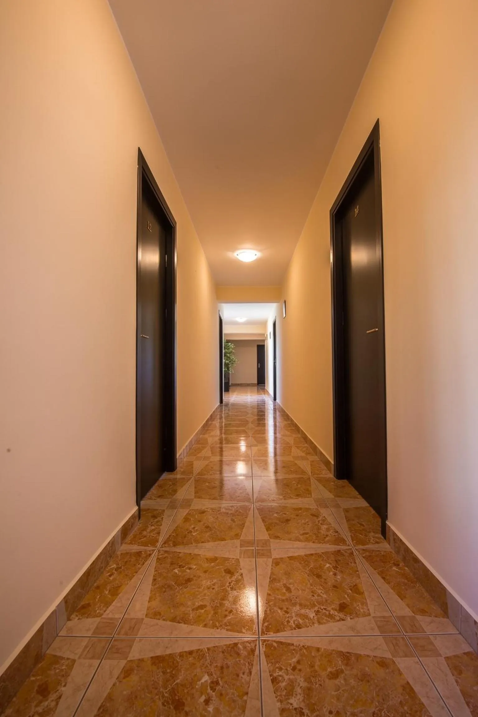 Vila Levent Mangalia