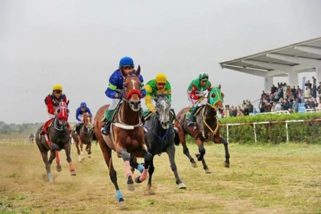 Vila Levent Mangalia