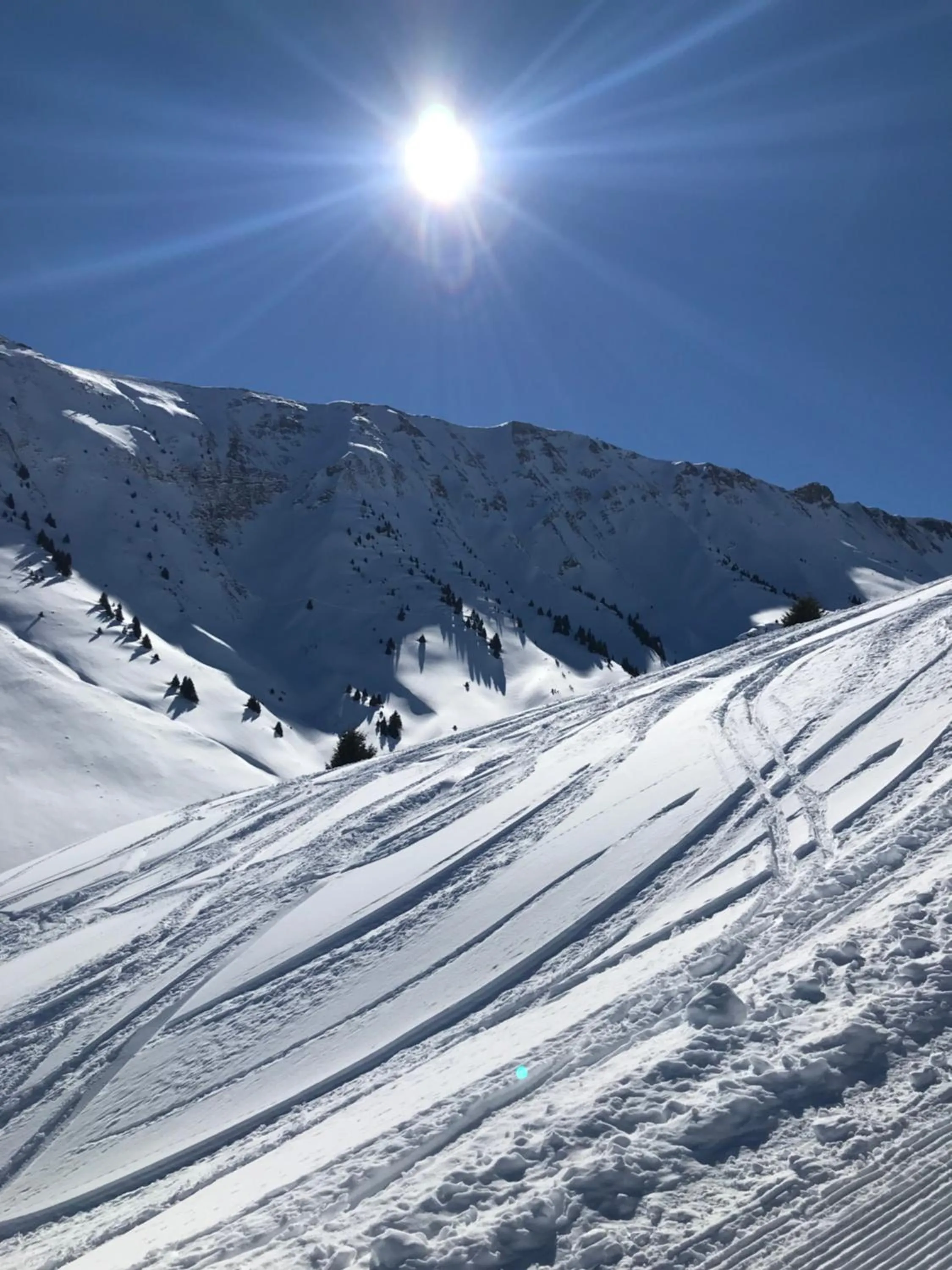 Natural landscape in Olydea Saint-Colomban-des-Villards