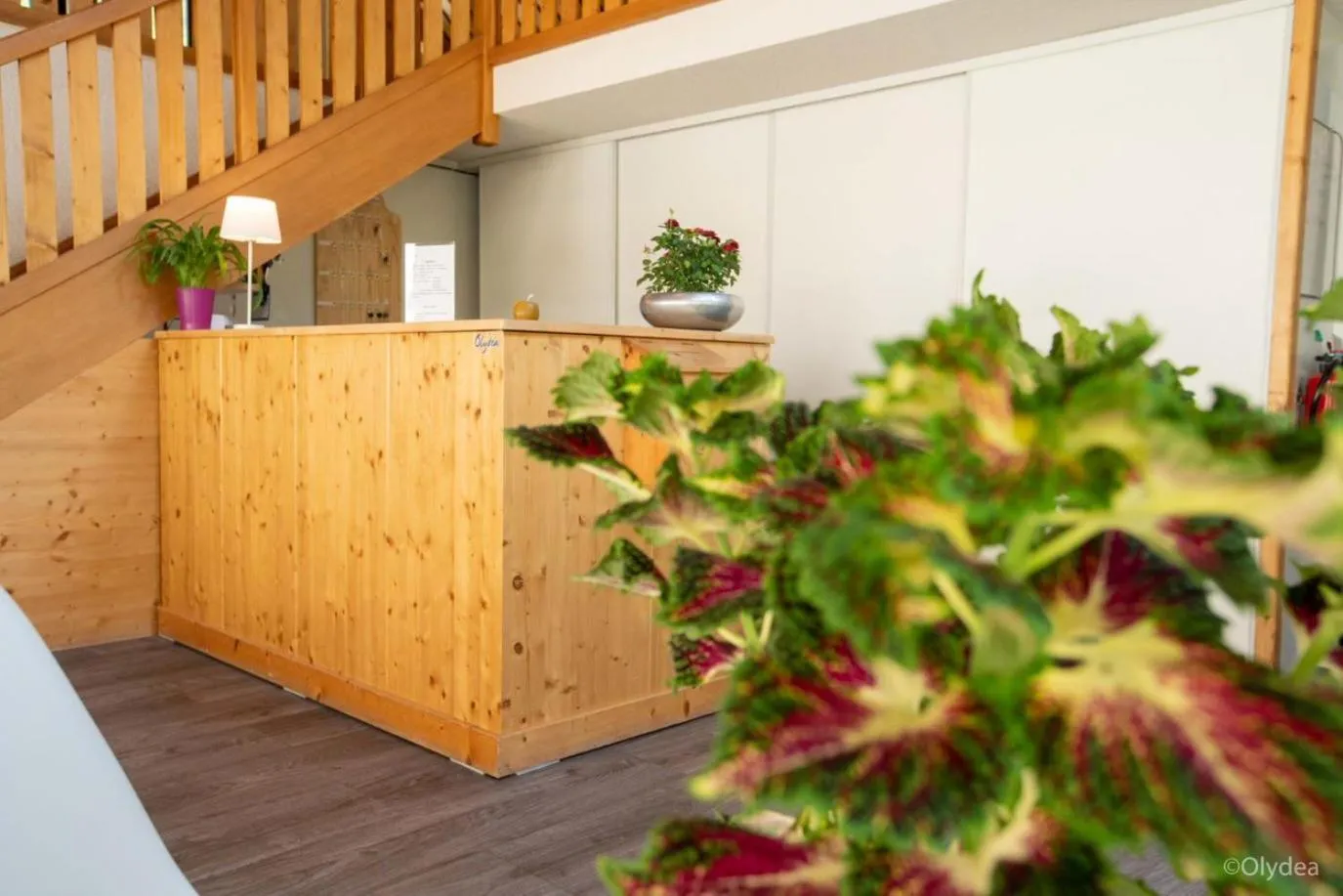 Olydea Saint-Colomban-des-Villards