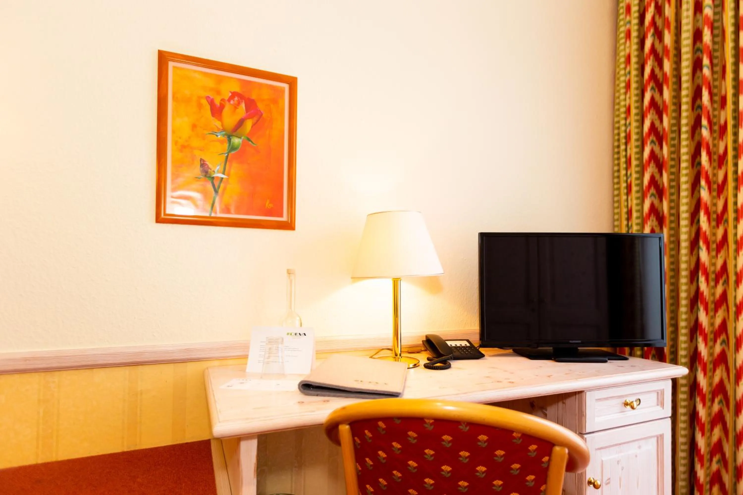 TV and multimedia in Parkhotel Traunstein