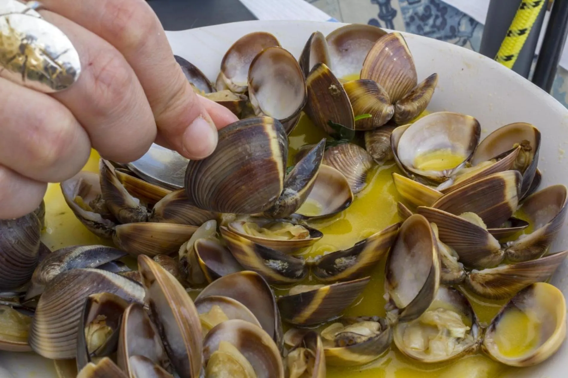 Floor plan in B17 - The Stunning Seaview Apartment