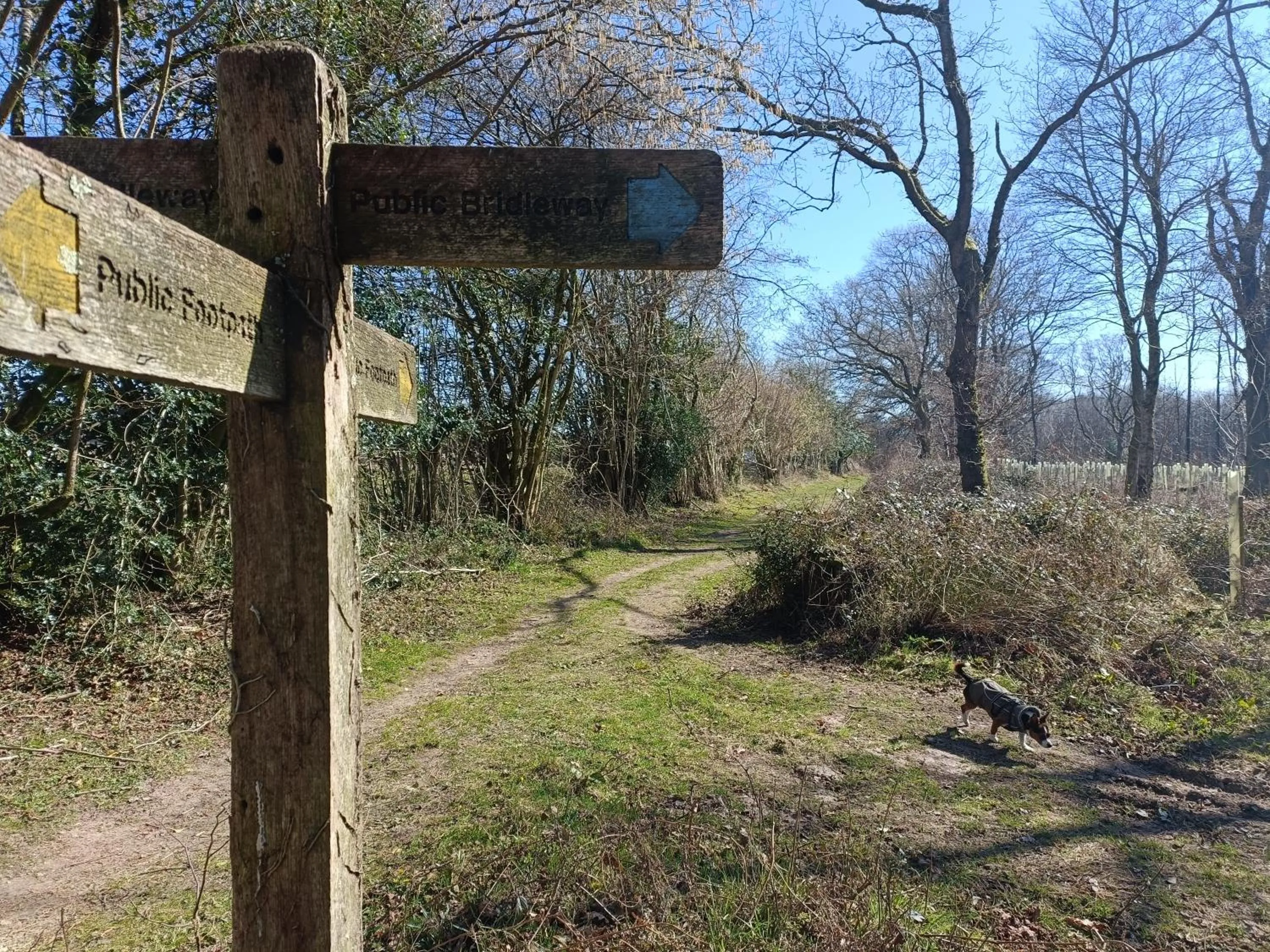 Natural landscape in Keepers Retreat
