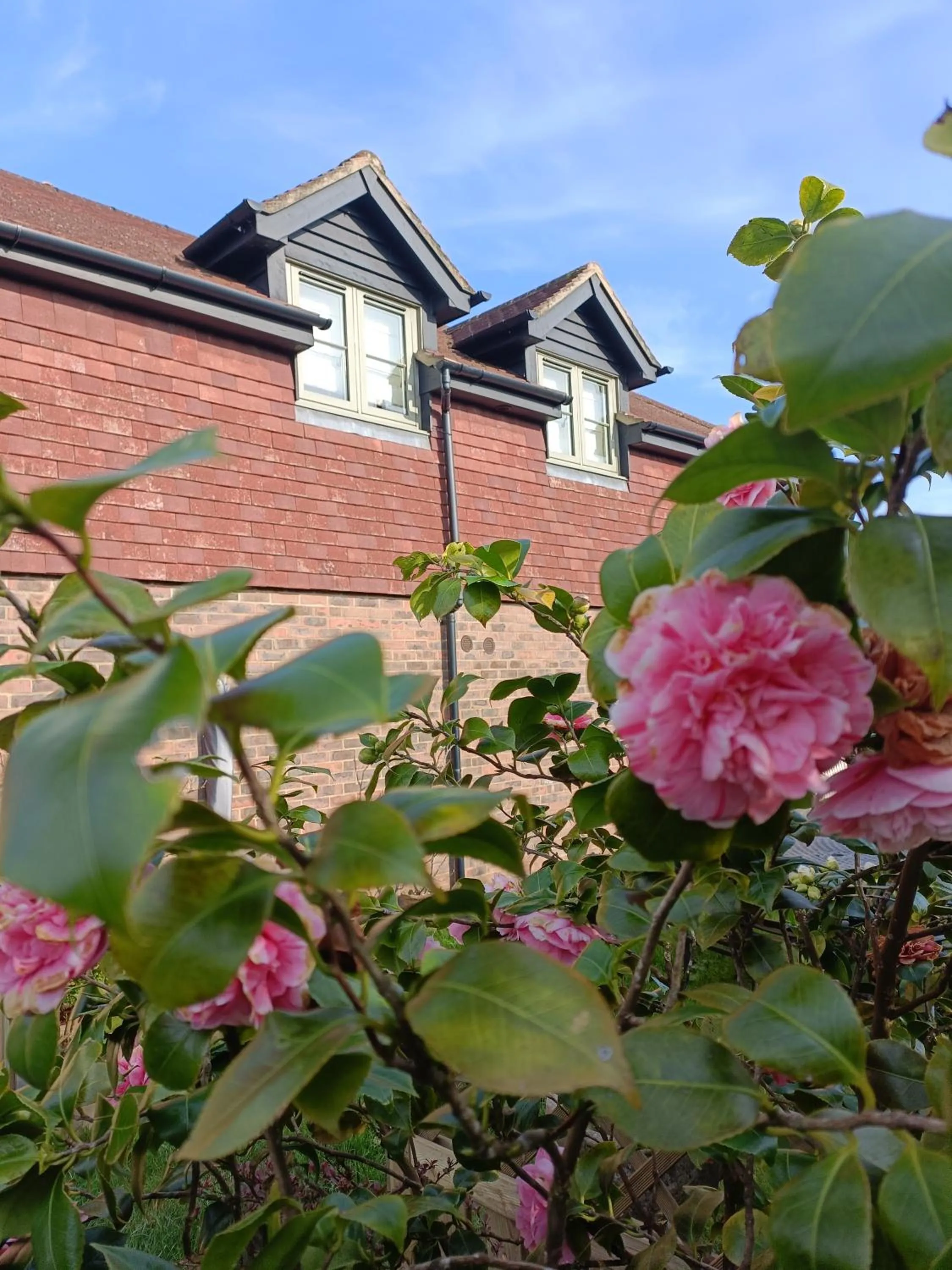 Property building in Keepers Retreat