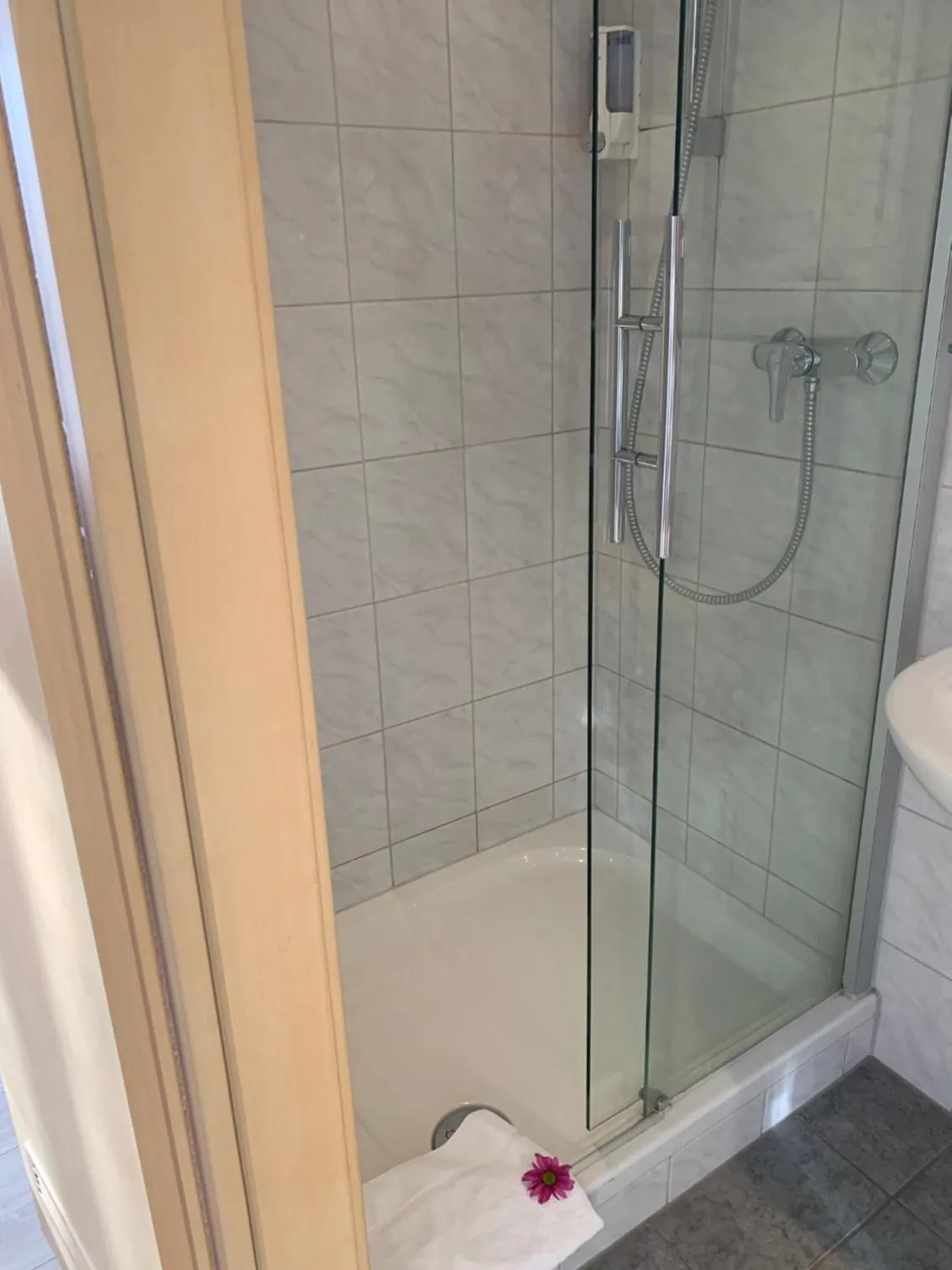 Toilet in Hotel zum Adler