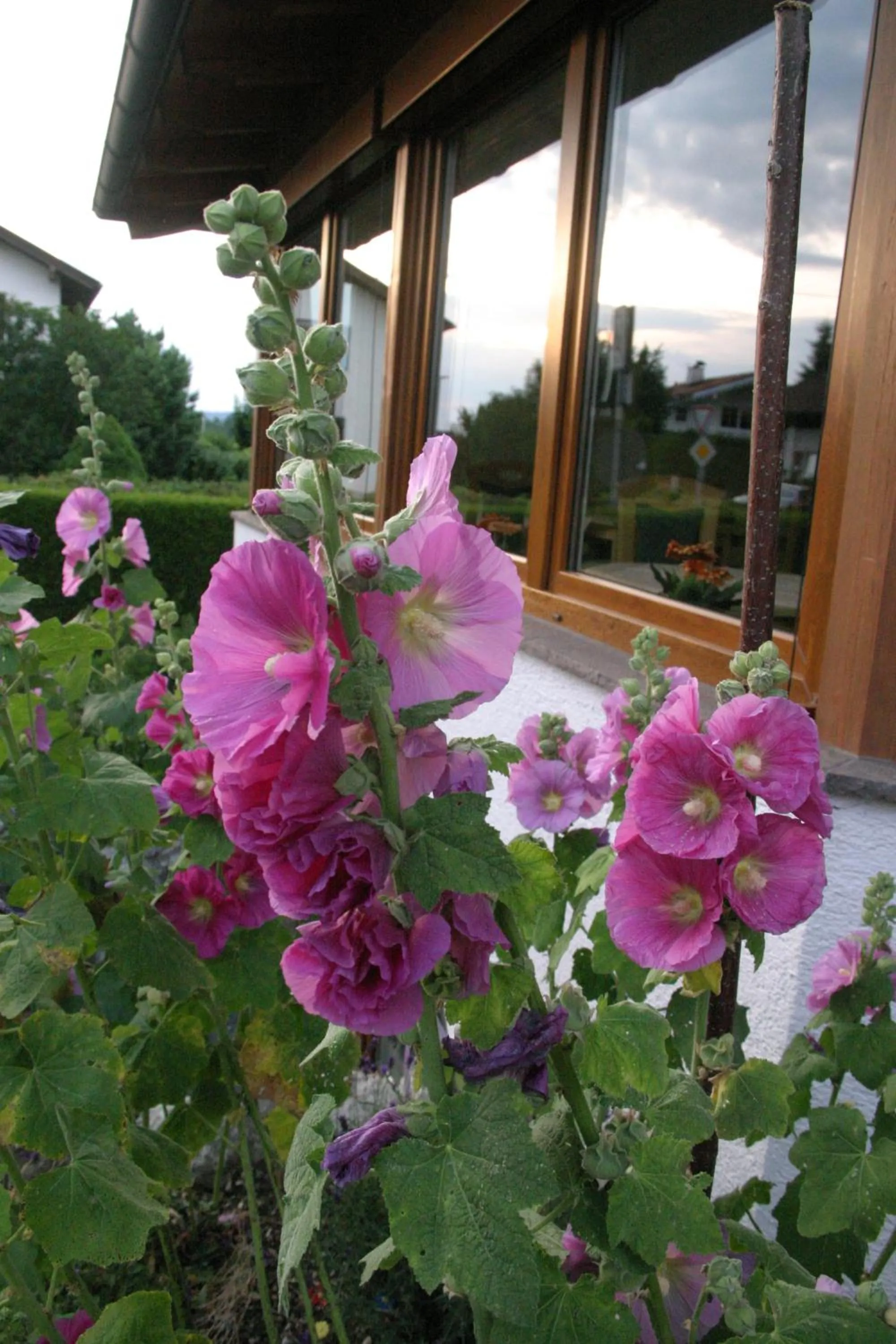 Other in Gästehaus Elisabeth